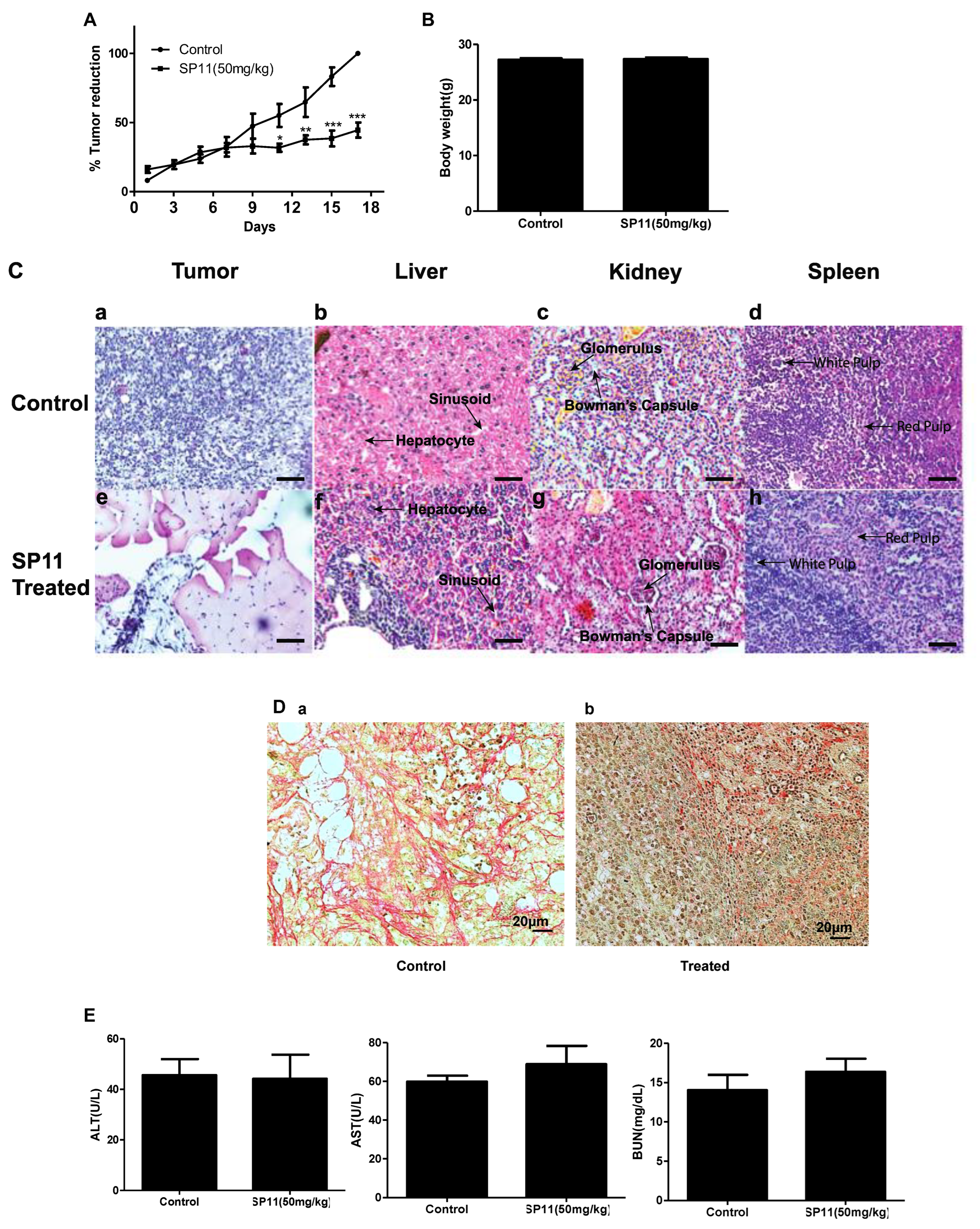Molecules 28 05226 g005a Molecules 28 05226 g005a