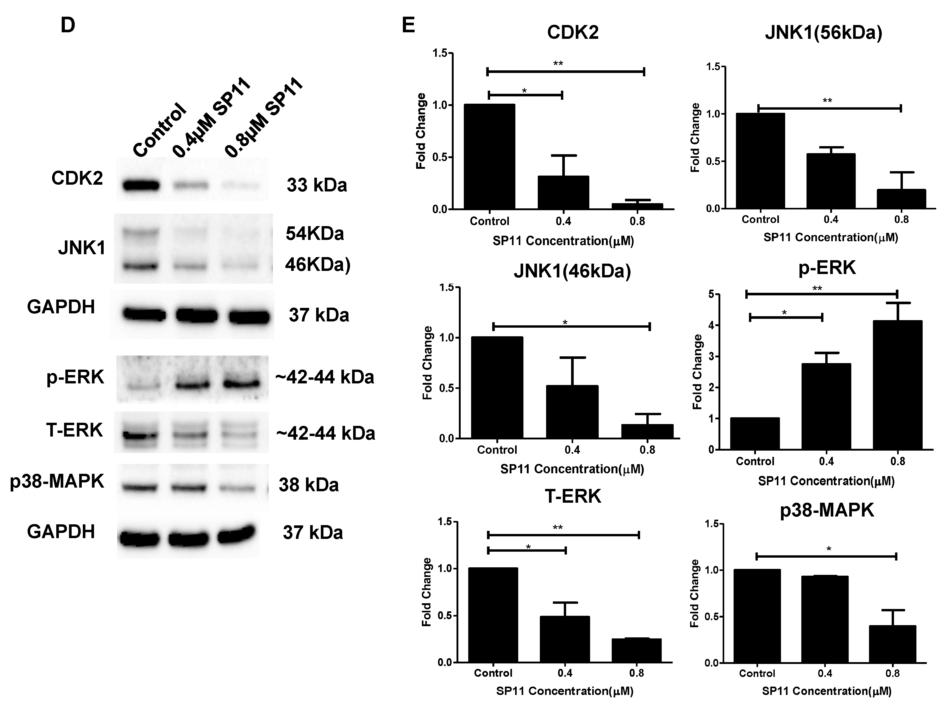 Molecules 28 05226 g006b Molecules 28 05226 g006b