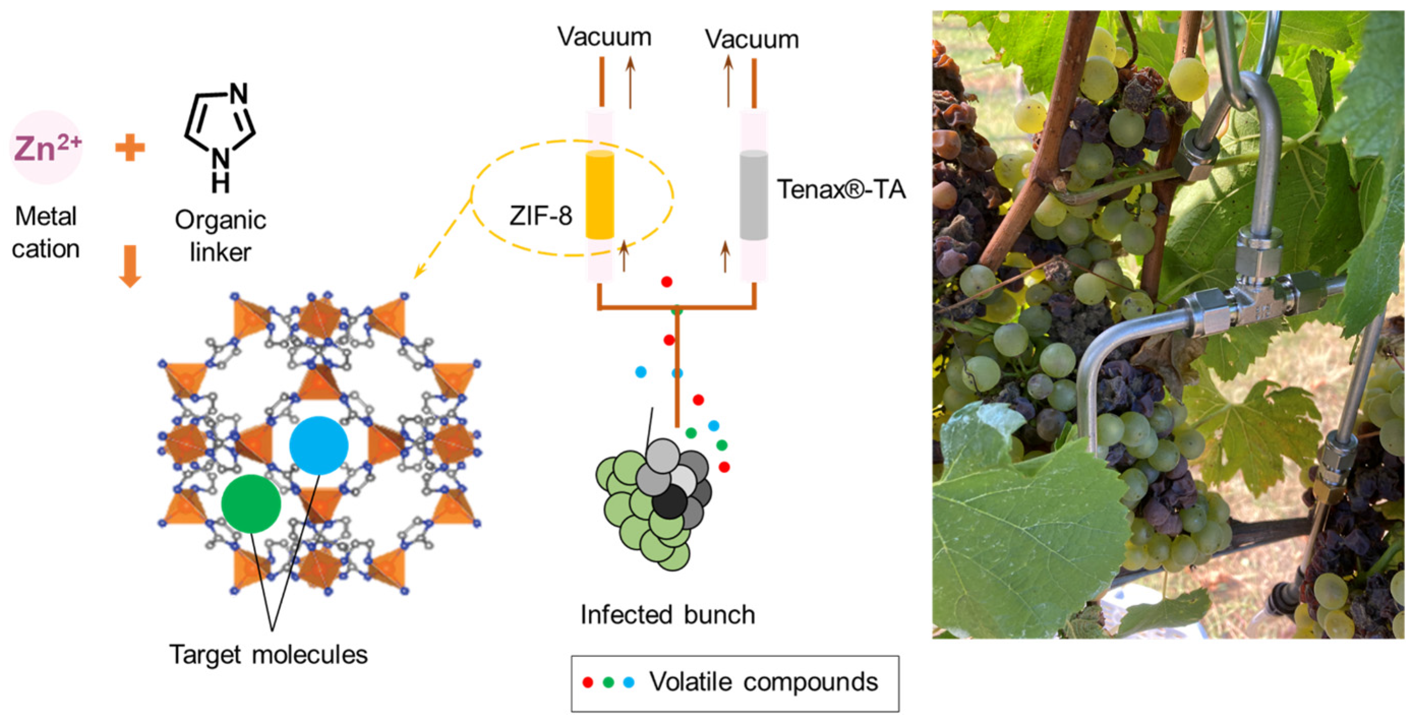 Molecules 28 05227 g006 Molecules 28 05227 g006