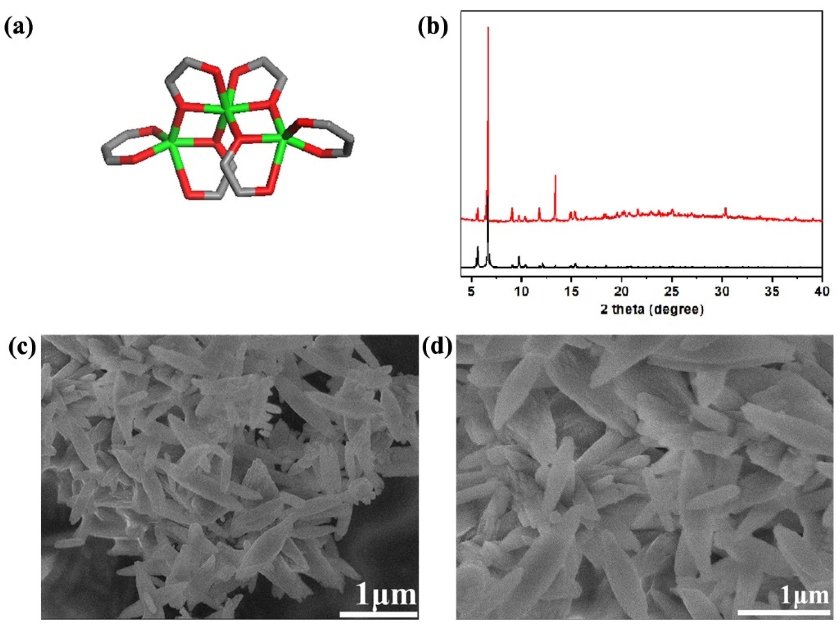 Molecules 28 05237 g001