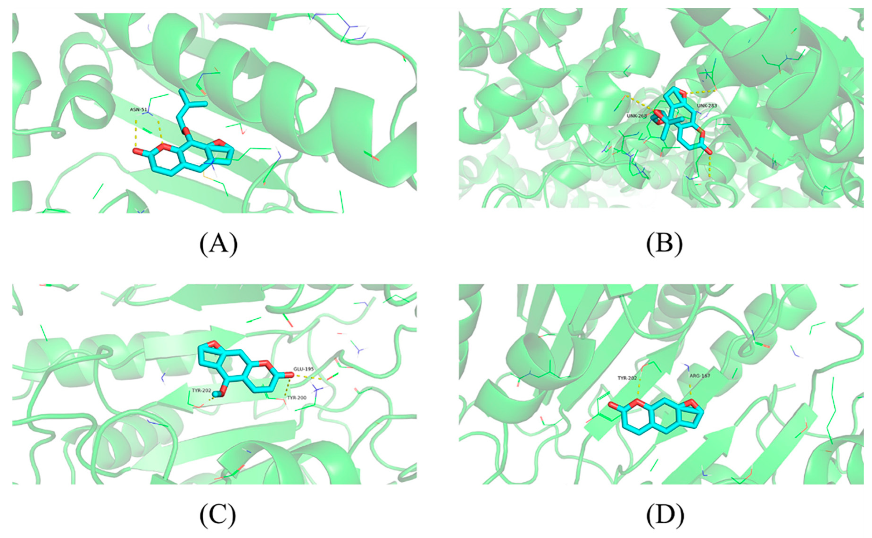 Molecules 28 05248 g012