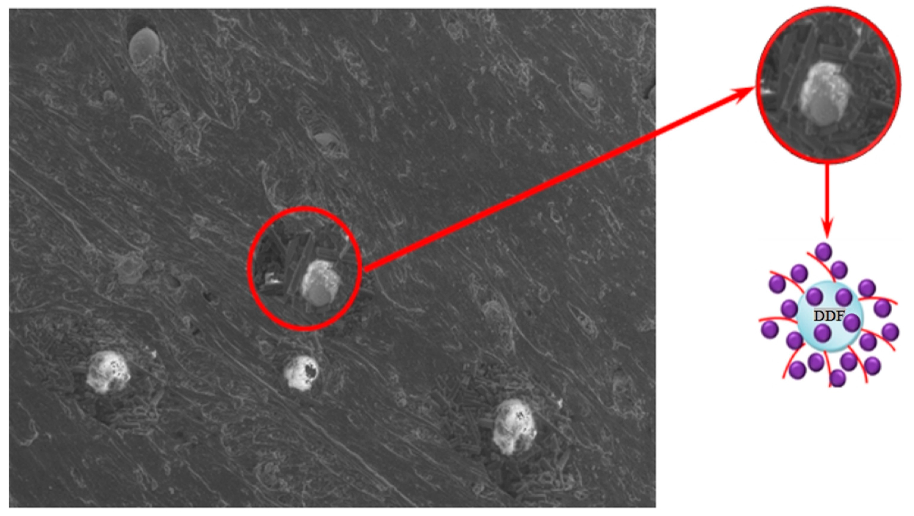 Molecules 28 05267 g002 Molecules 28 05267 g002
