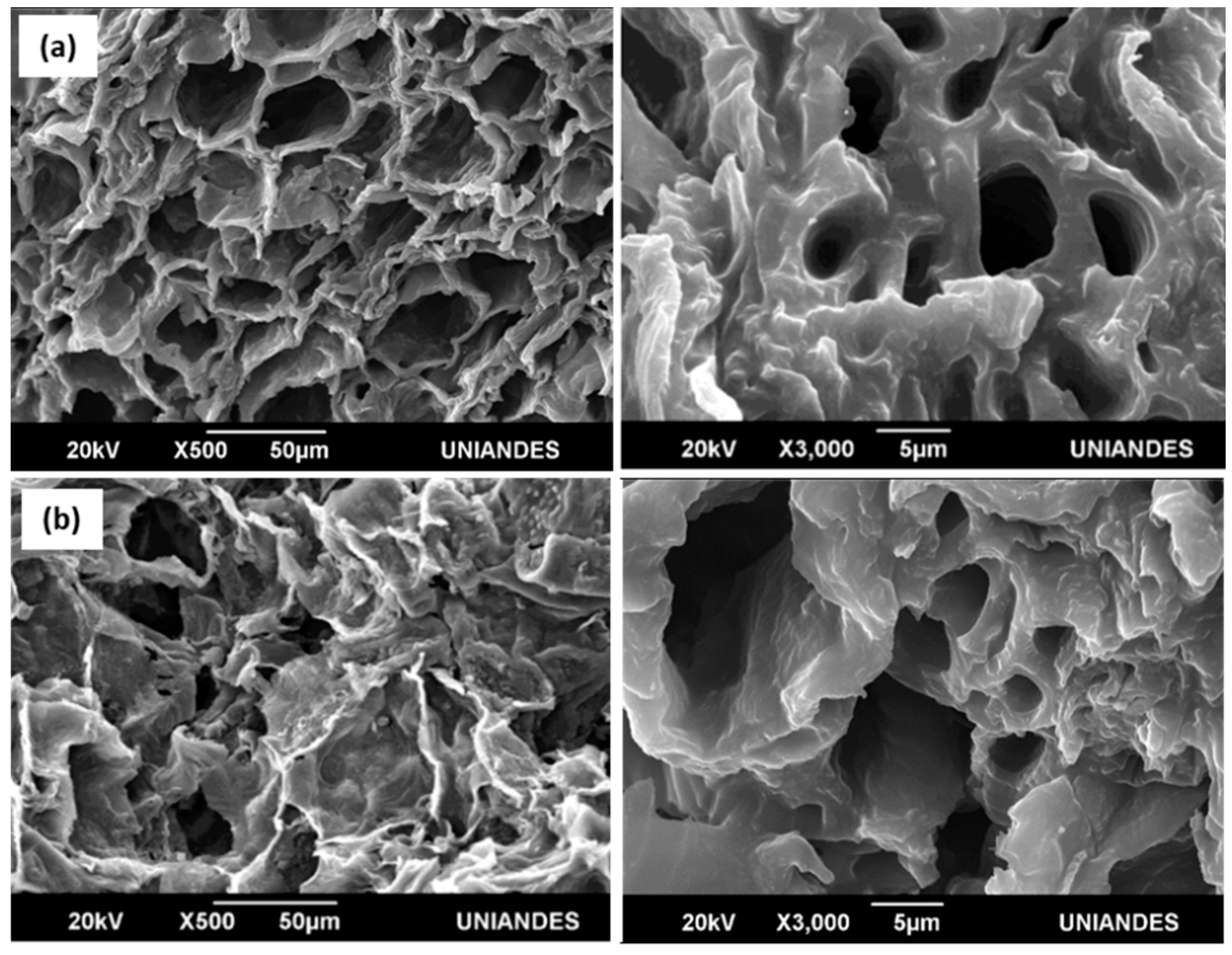 Molecules 28 05268 g002