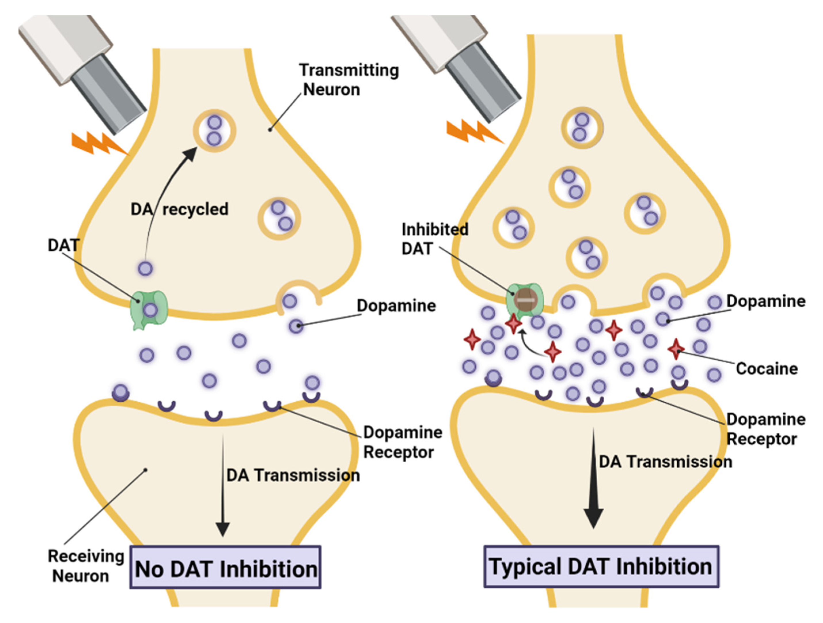 Molecules 28 05270 g001 Molecules 28 05270 g001