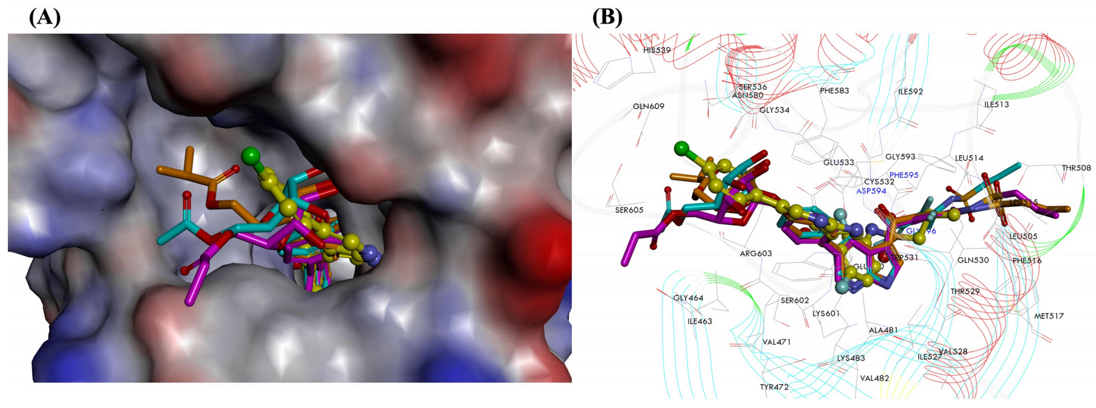 Molecules 28 05273 g003 Molecules 28 05273 g003