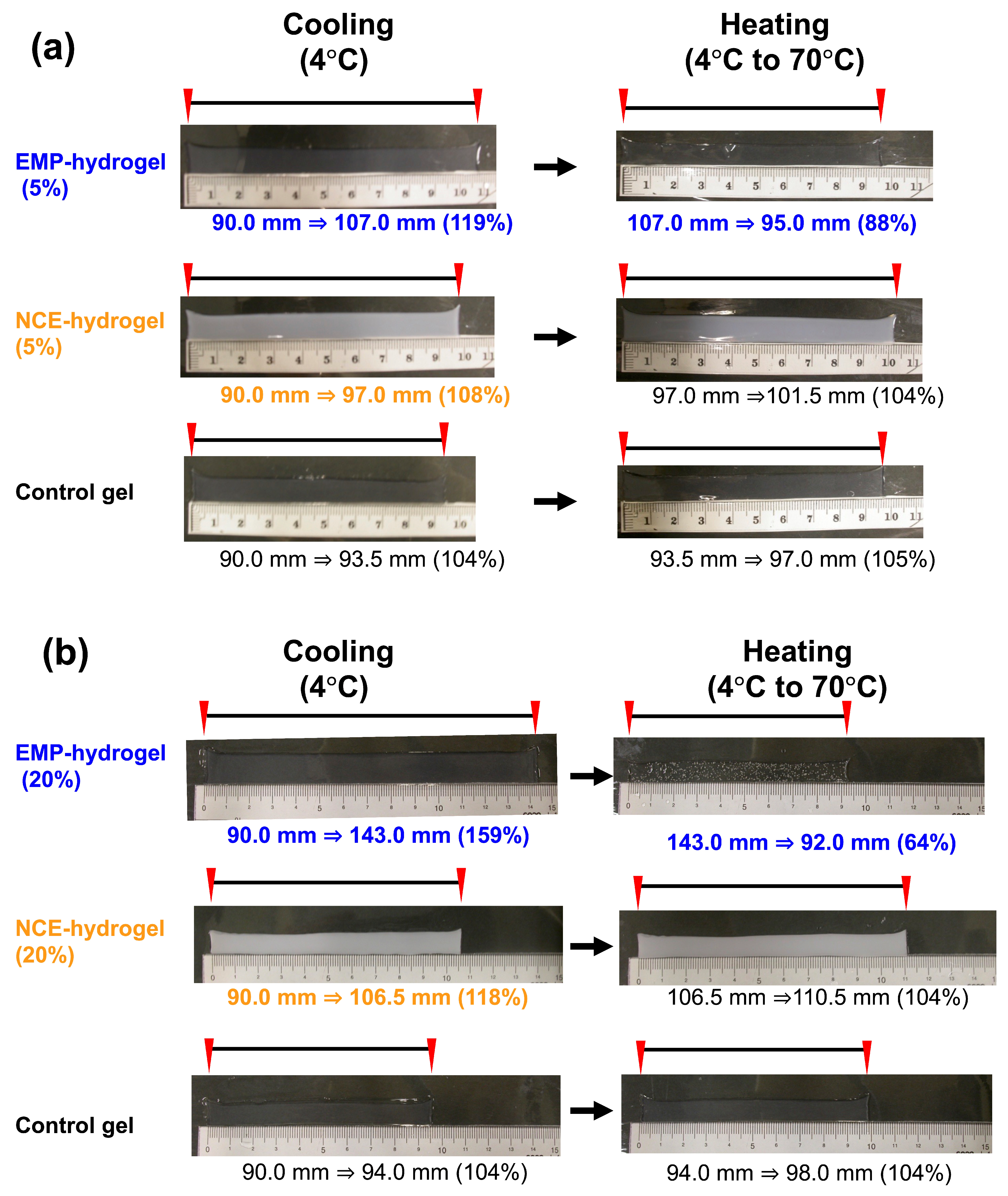 Molecules 28 05274 g002 Molecules 28 05274 g002