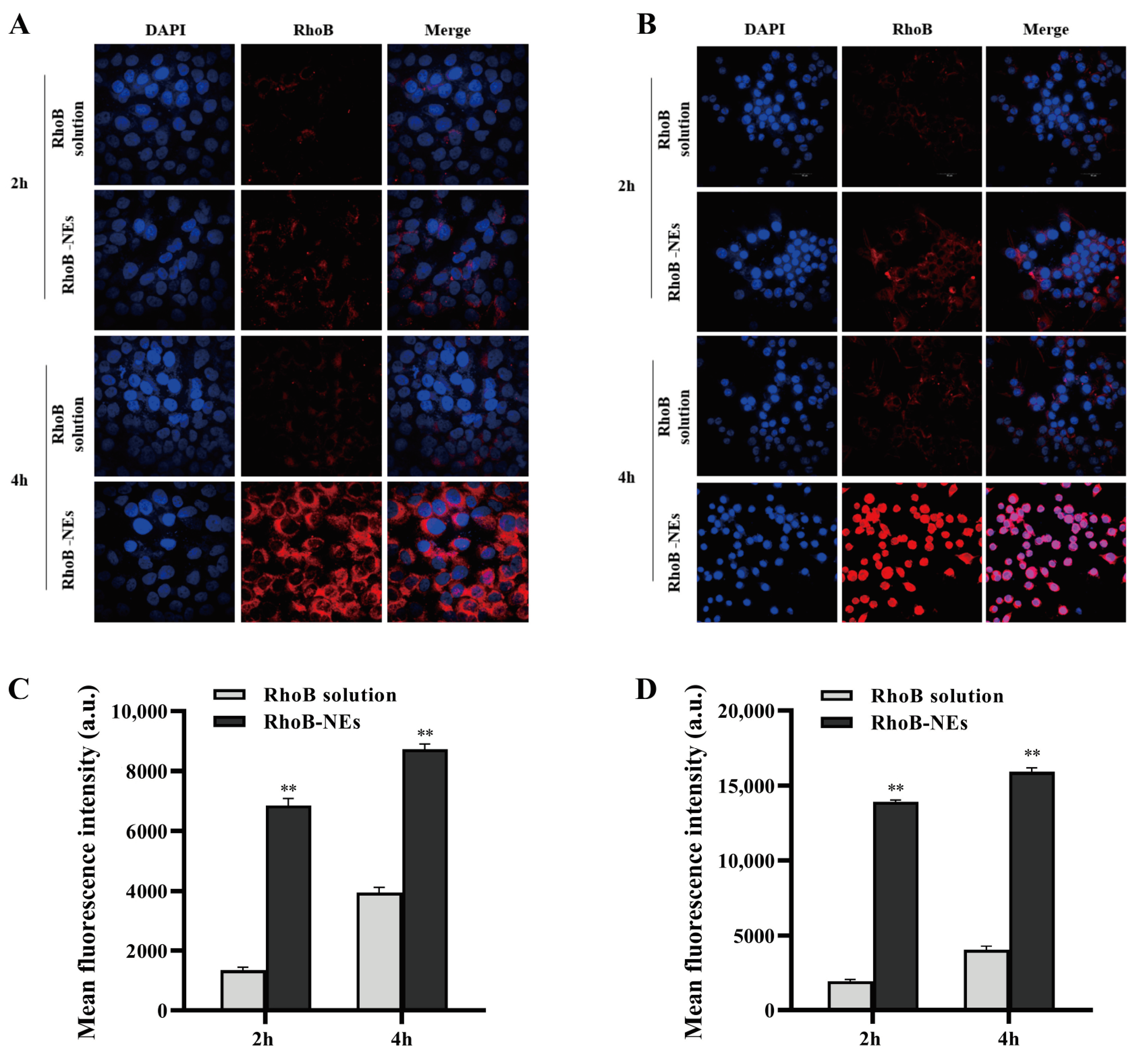Molecules 28 05275 g004 Molecules 28 05275 g004