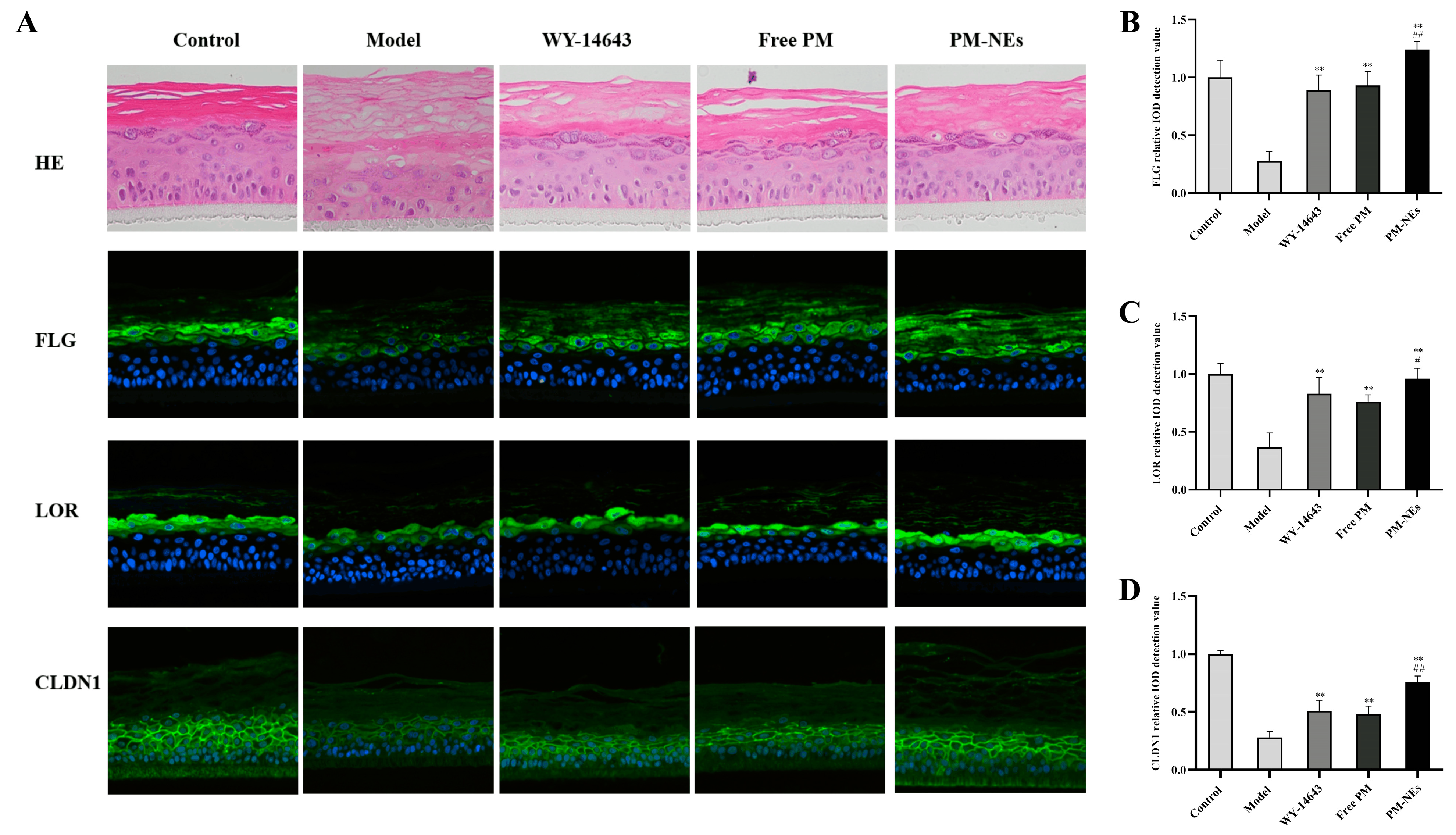 Molecules 28 05275 g008 Molecules 28 05275 g008