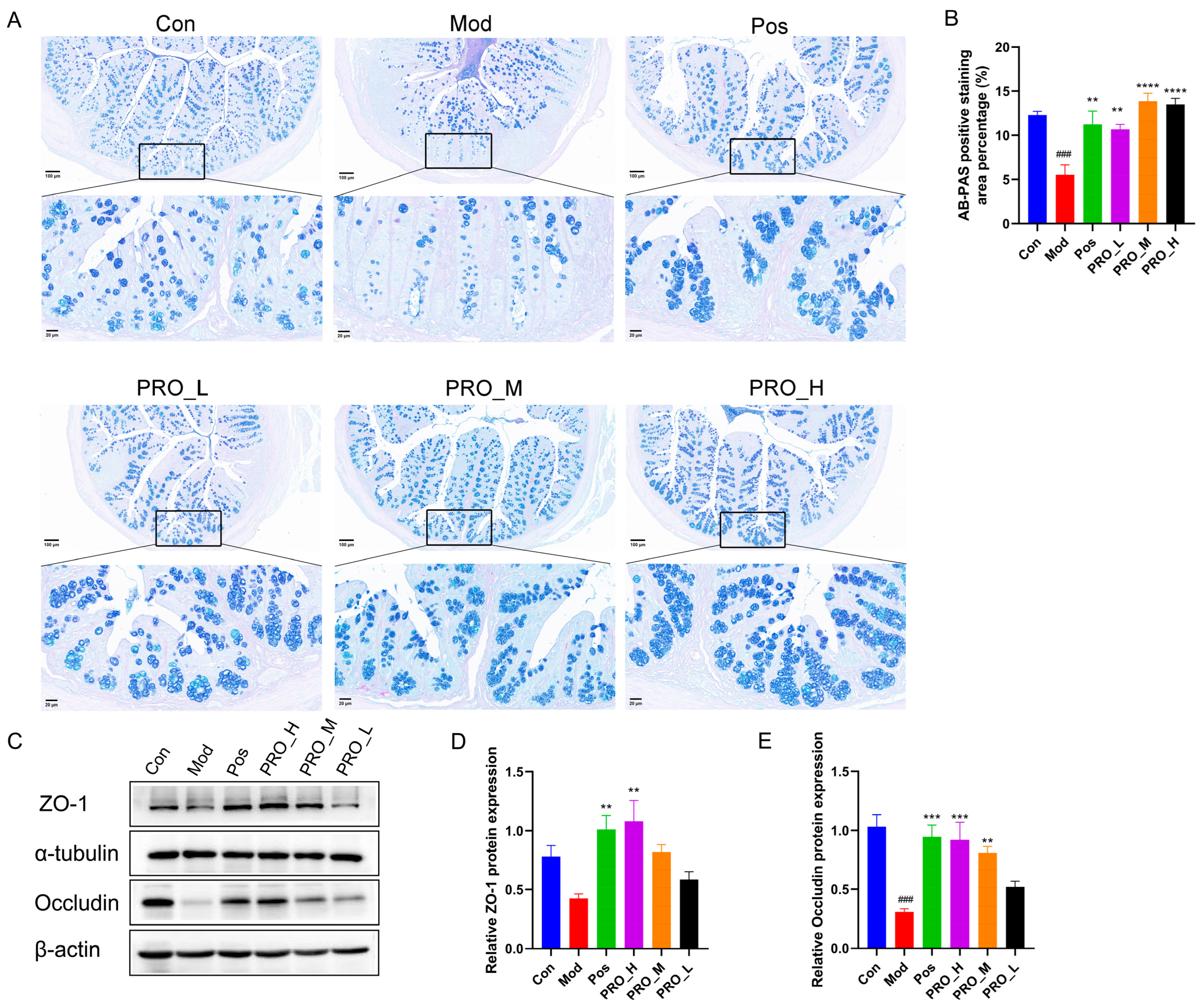 Molecules 28 05277 g003
