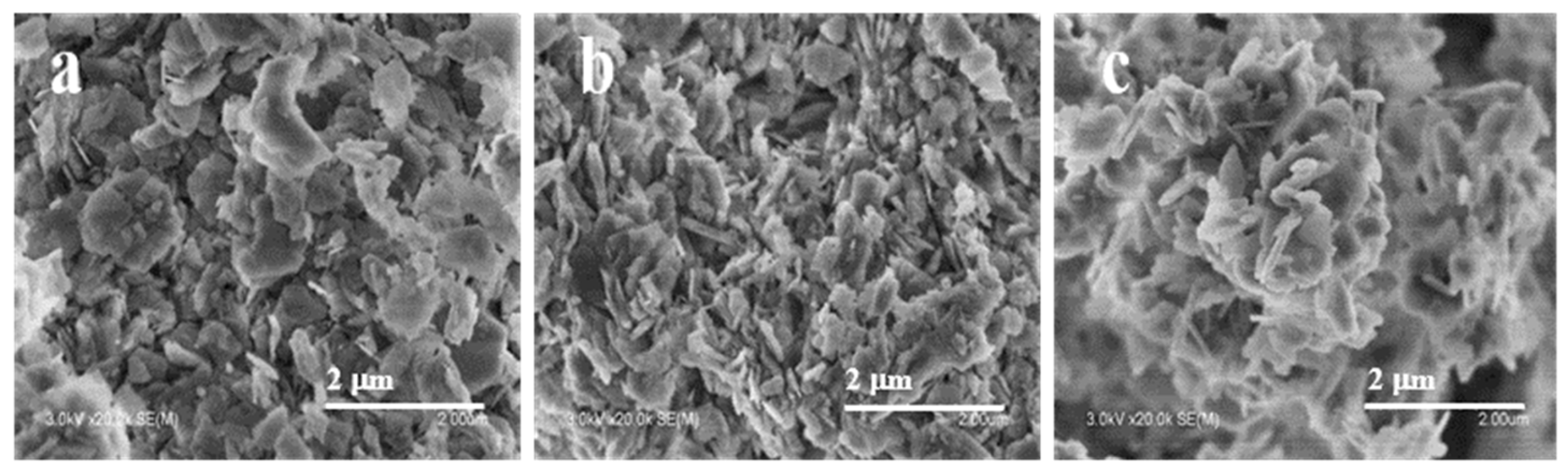 Molecules 28 05279 g002 Molecules 28 05279 g002