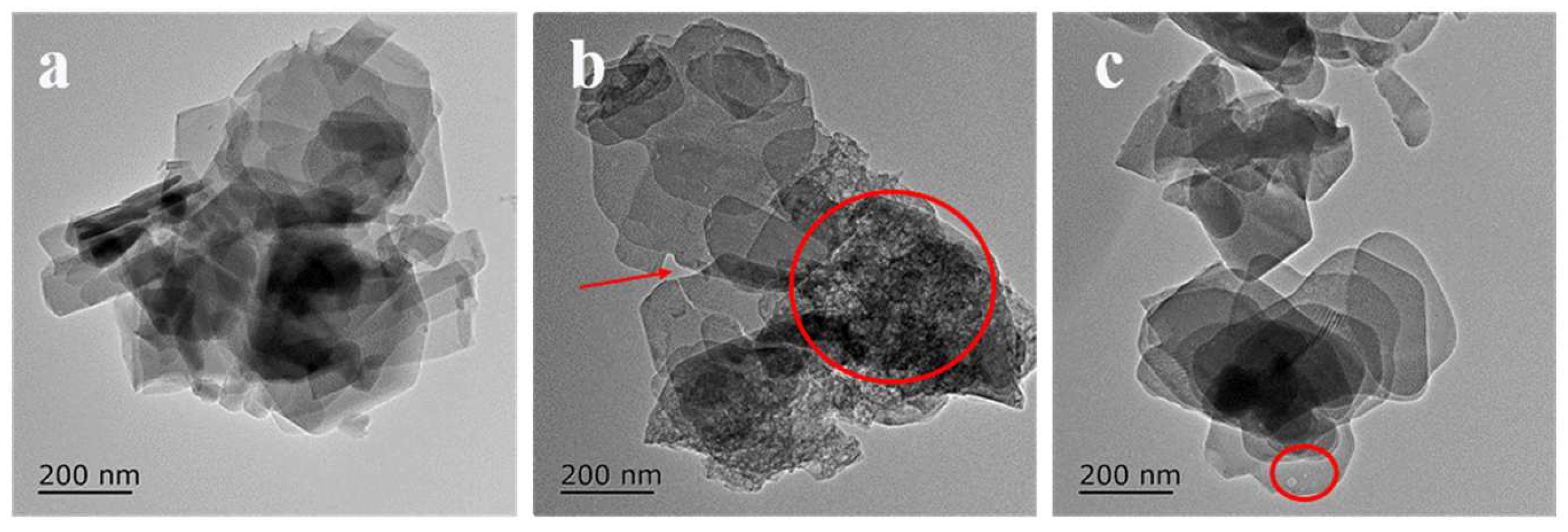 Molecules 28 05279 g003 Molecules 28 05279 g003