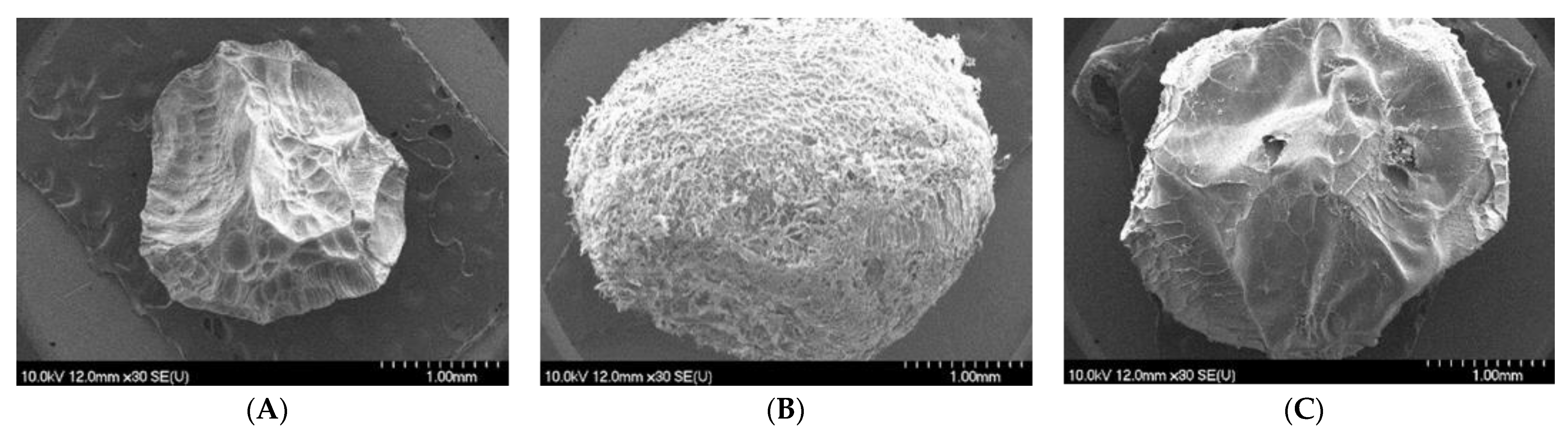 Molecules 28 05285 g002 Molecules 28 05285 g002