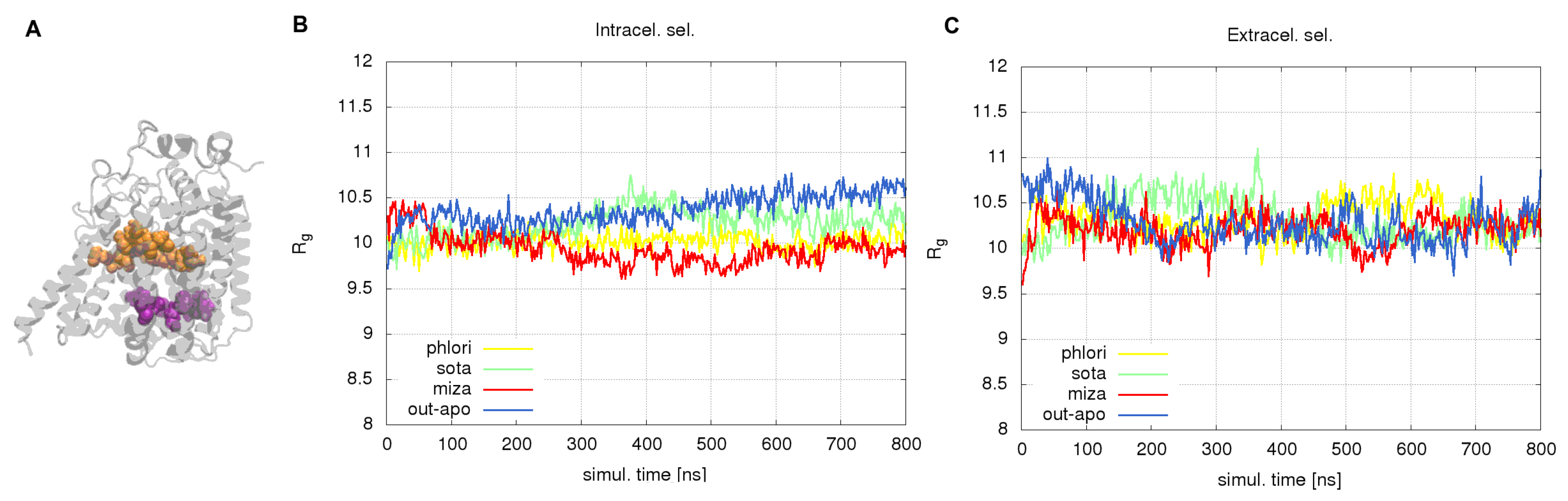 Molecules 28 05295 g006 Molecules 28 05295 g006