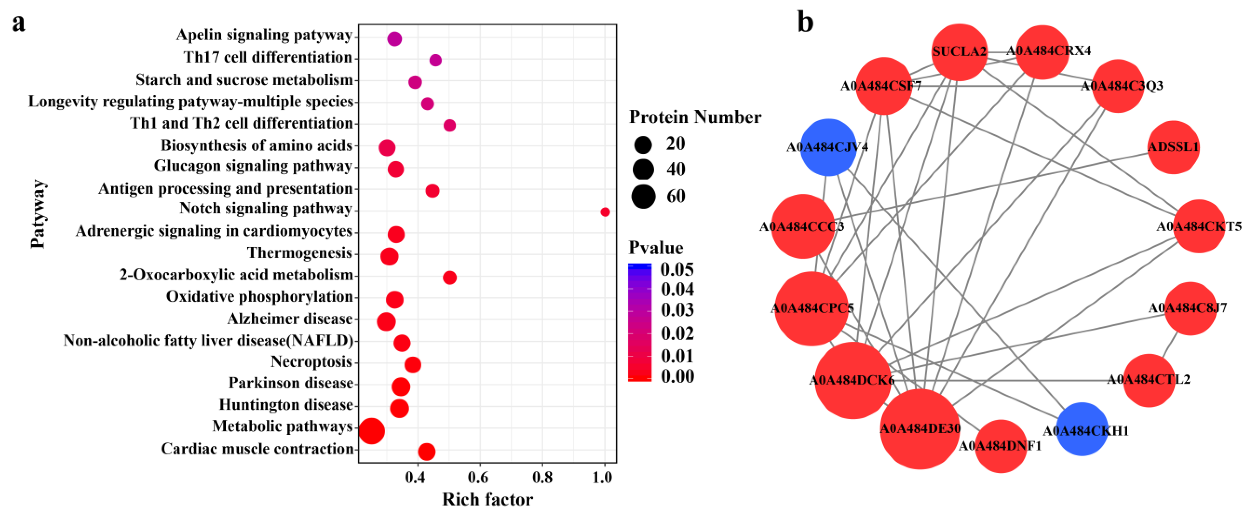 Molecules 28 05298 g005 Molecules 28 05298 g005