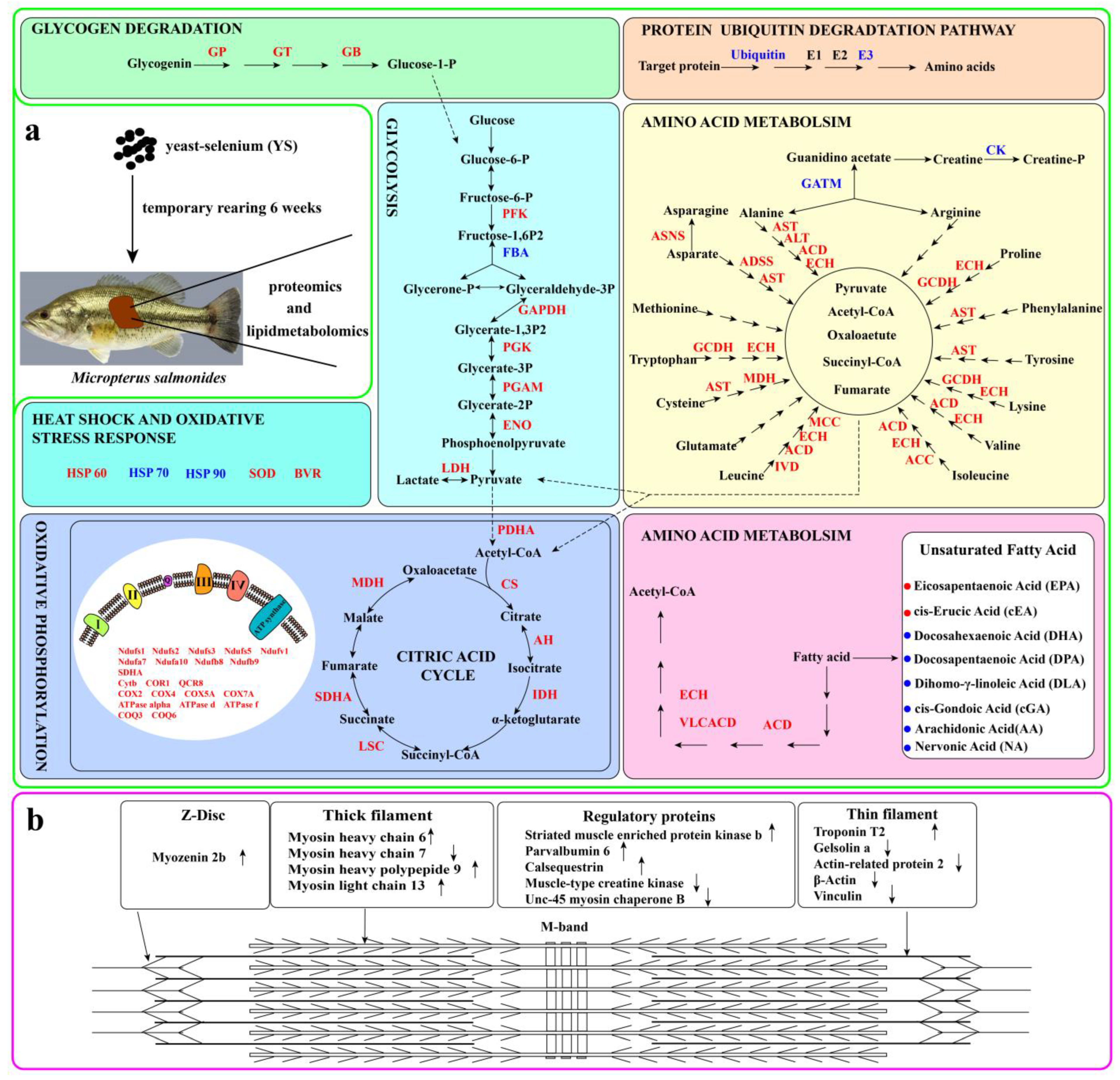 Molecules 28 05298 g006 Molecules 28 05298 g006