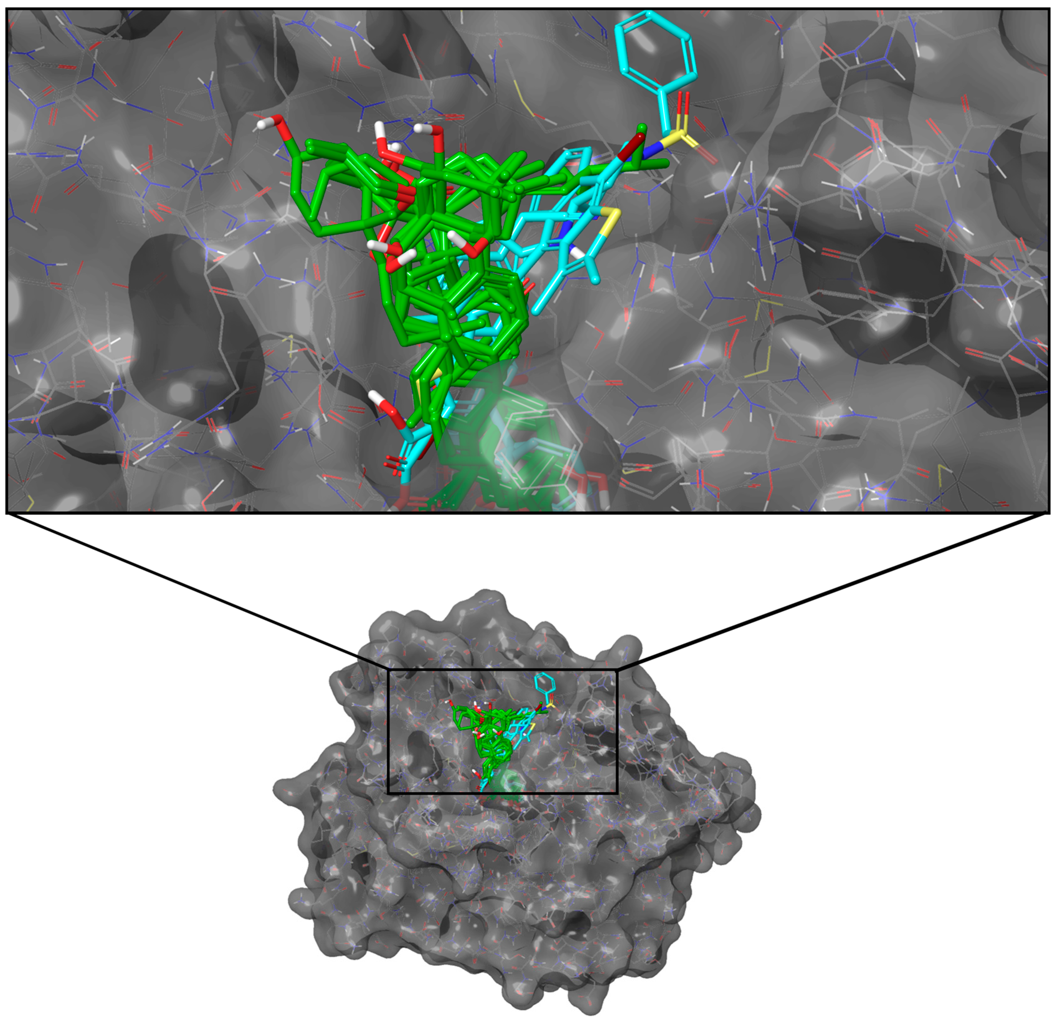 Molecules 28 05301 g001 Molecules 28 05301 g001