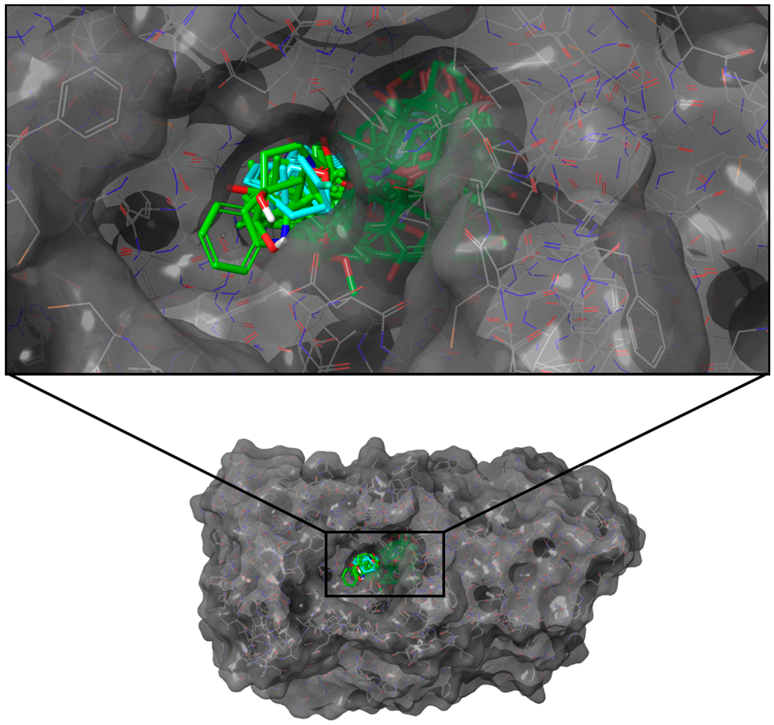 Molecules 28 05301 g005 Molecules 28 05301 g005