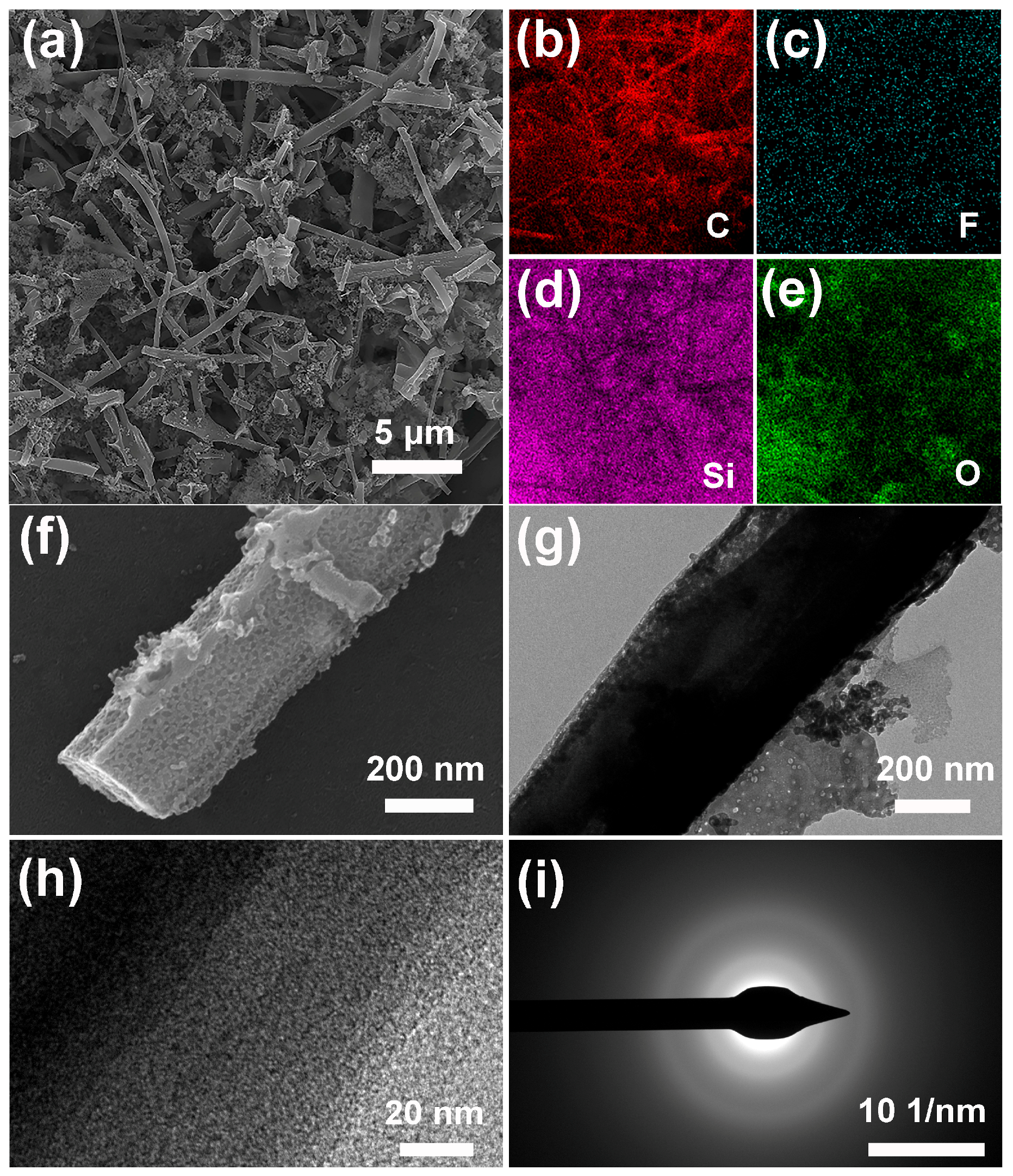 Molecules 28 05304 g002