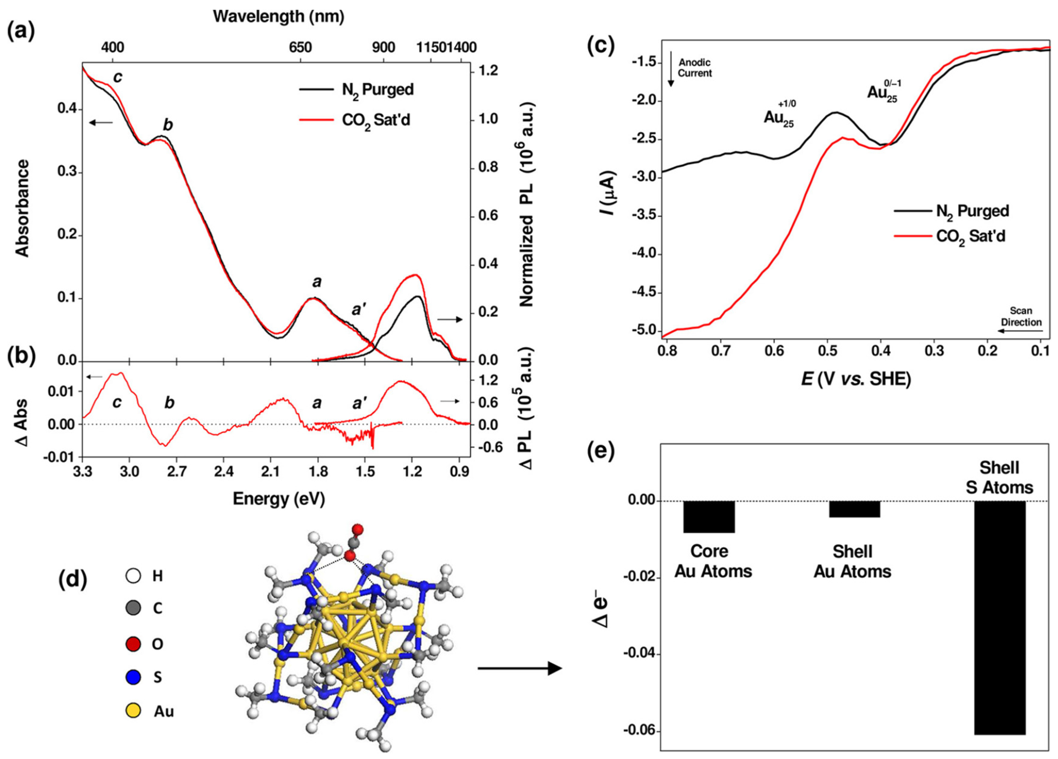 Molecules 28 05306 g006
