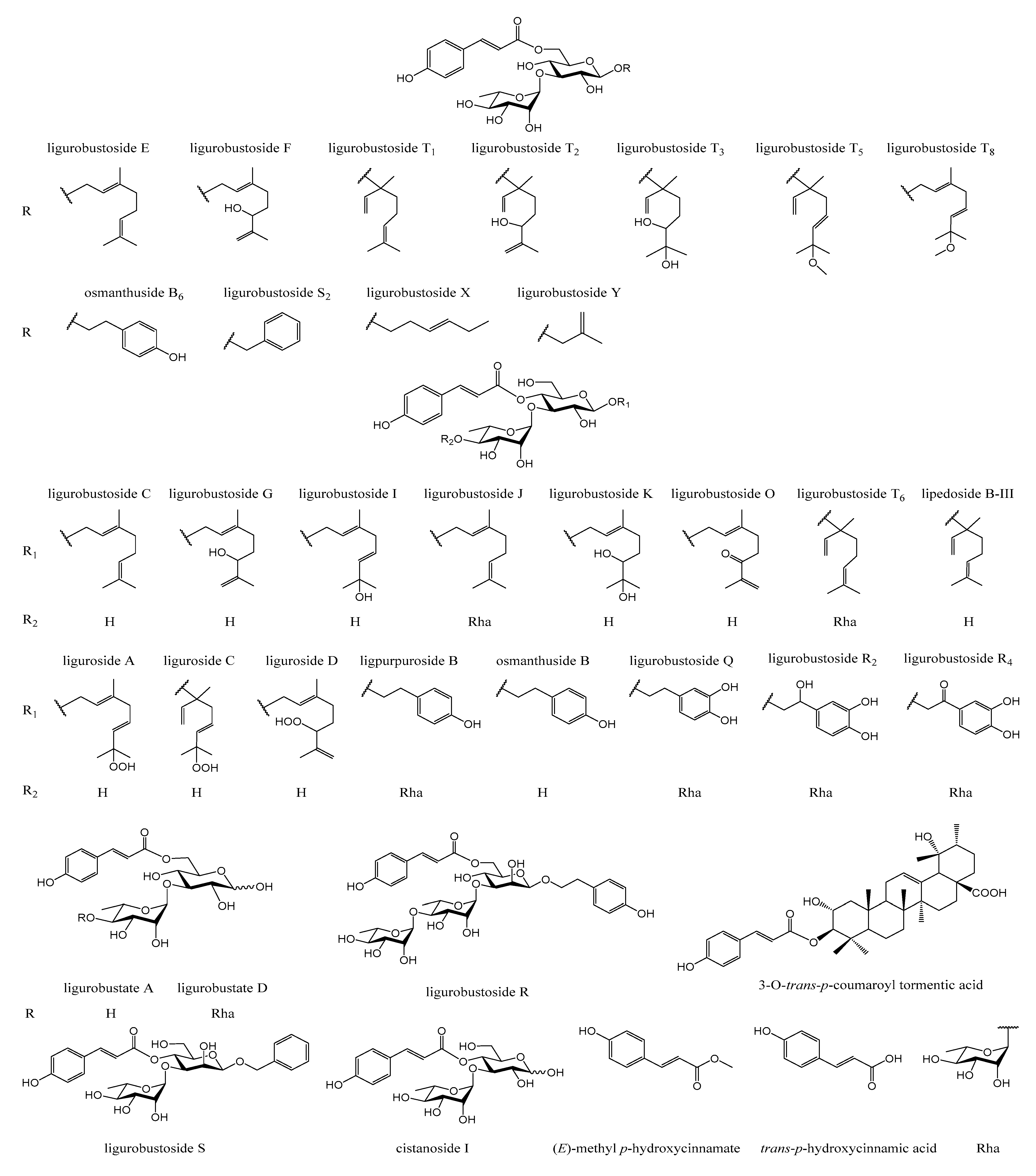 Molecules 28 05309 g001 Molecules 28 05309 g001