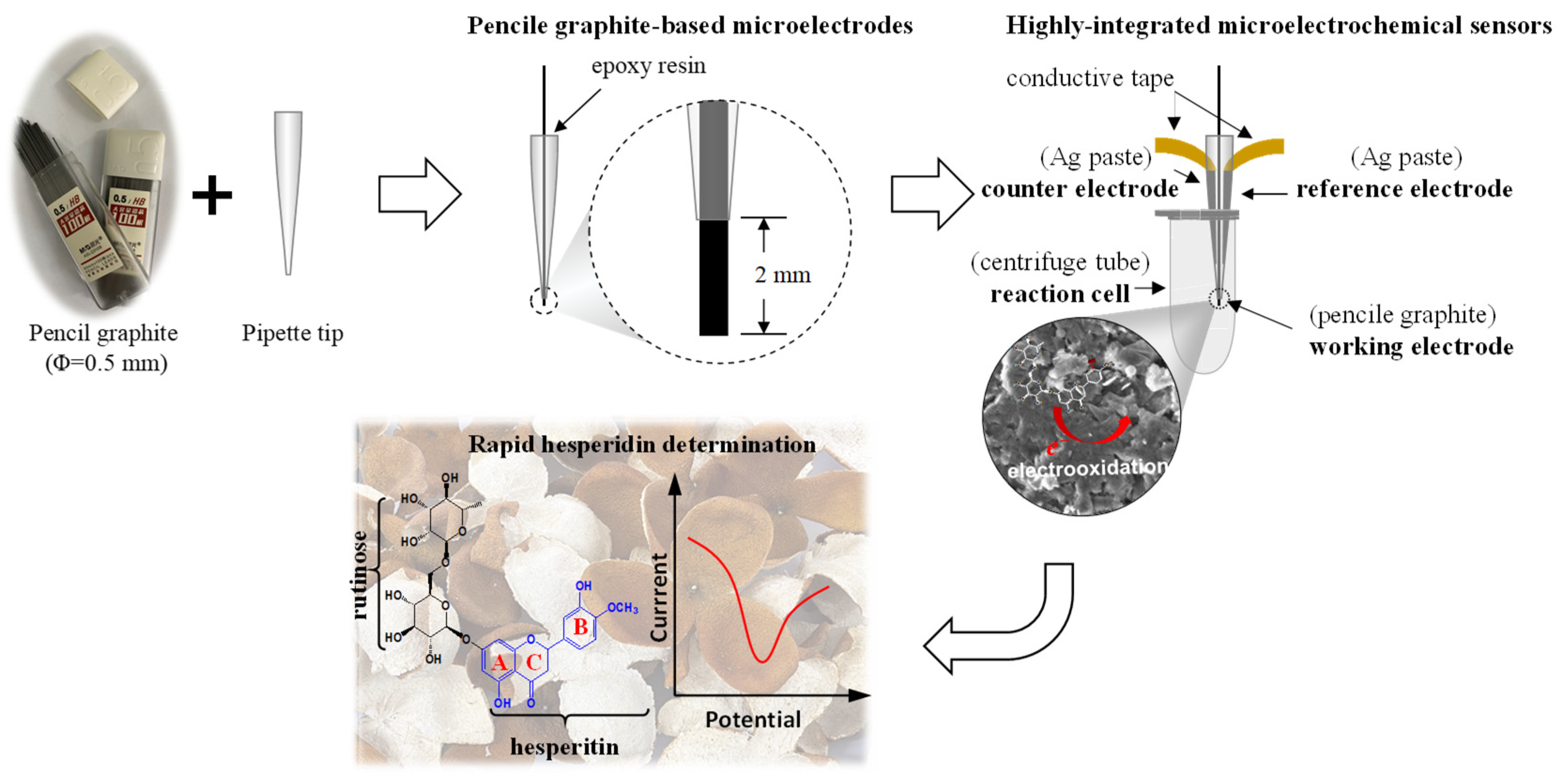 Molecules 28 05316 sch001 Molecules 28 05316 sch001