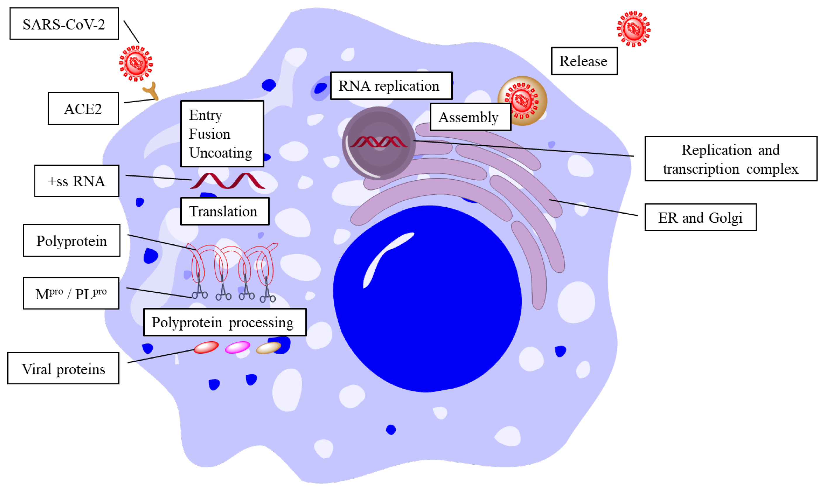 Molecules 28 05320 g001 Molecules 28 05320 g001