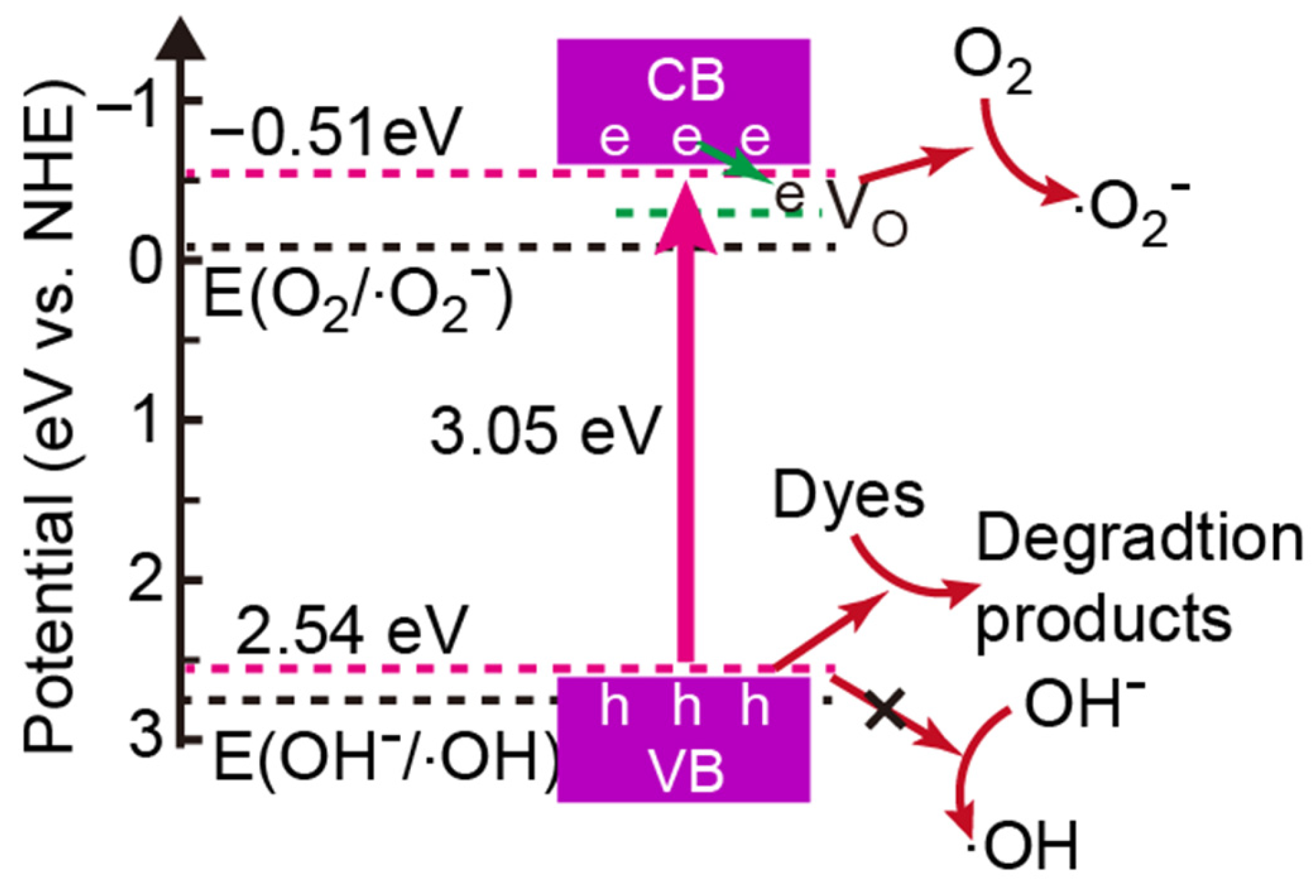 Molecules 28 05329 g014 Molecules 28 05329 g014