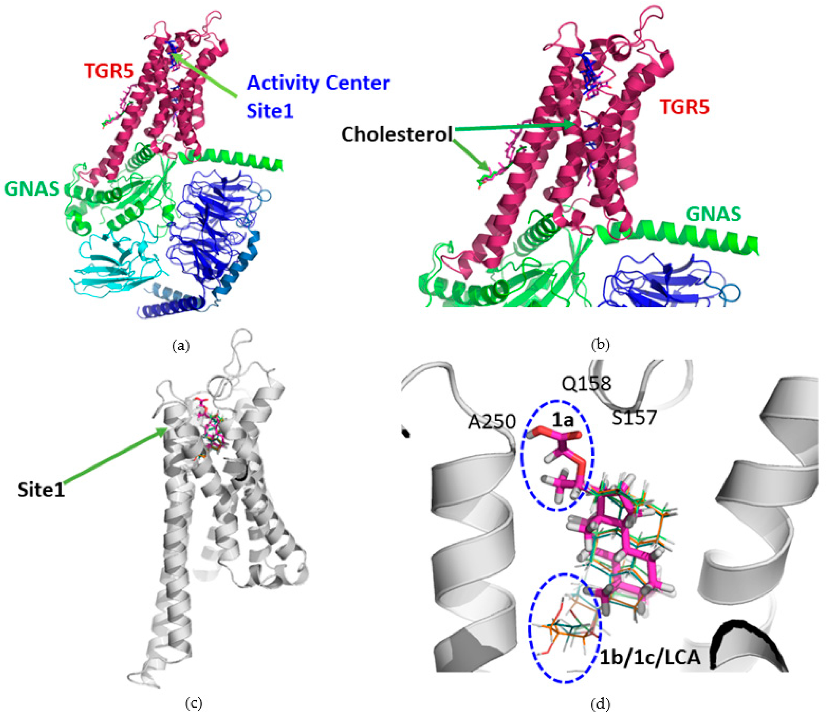Molecules 28 05332 g003