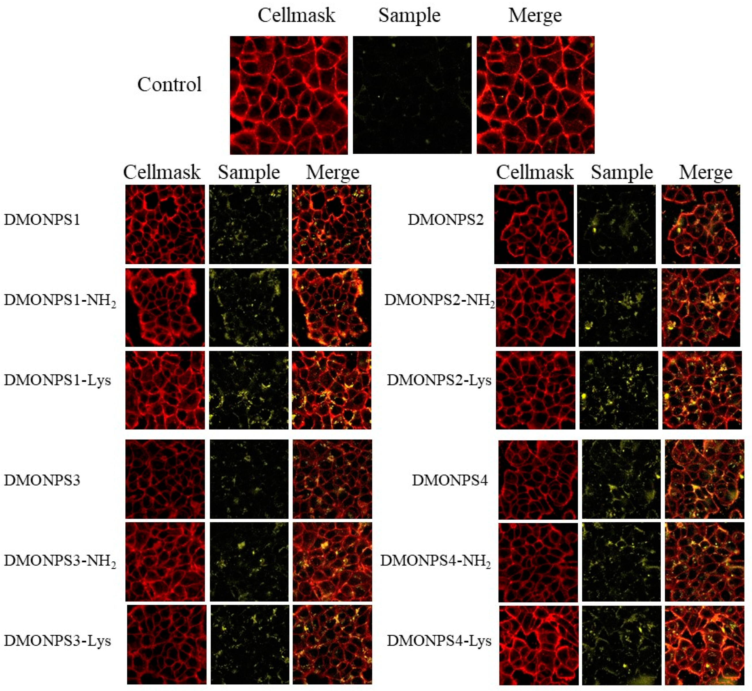 Molecules 28 05335 g006 Molecules 28 05335 g006