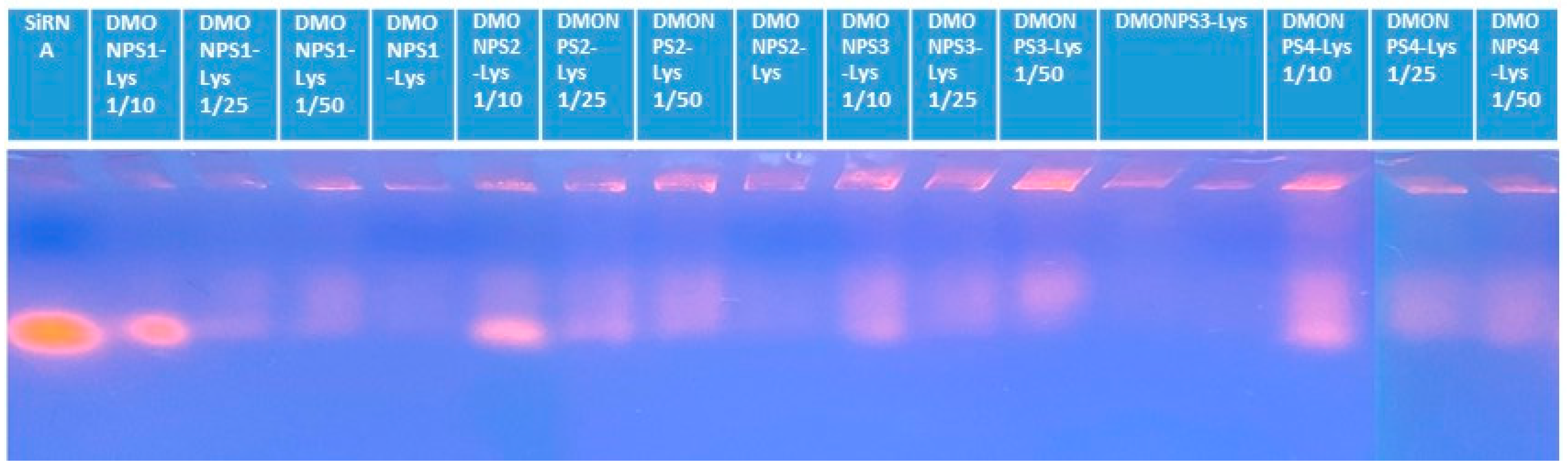 Molecules 28 05335 g008 Molecules 28 05335 g008
