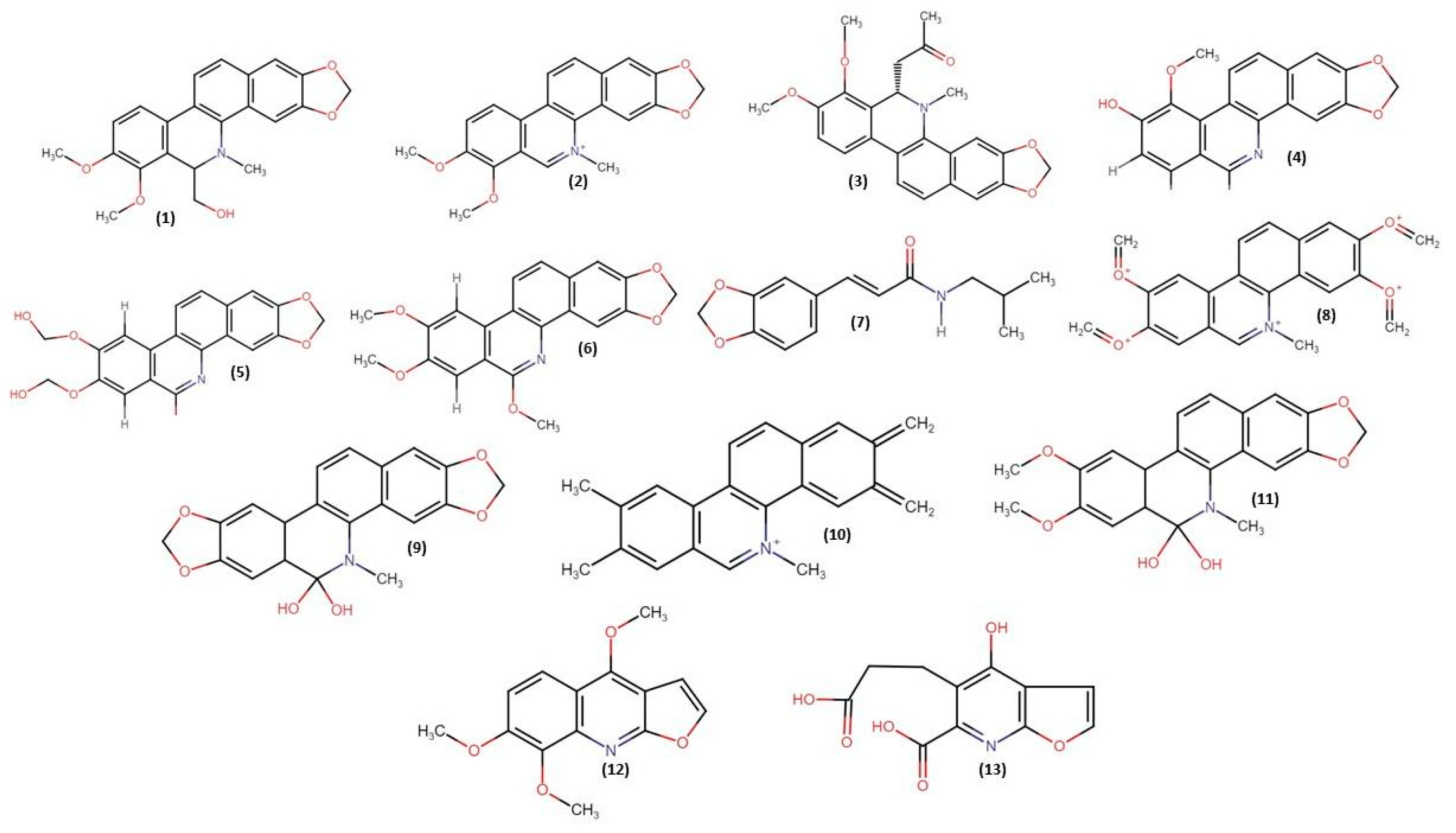 Molecules 28 05336 g001