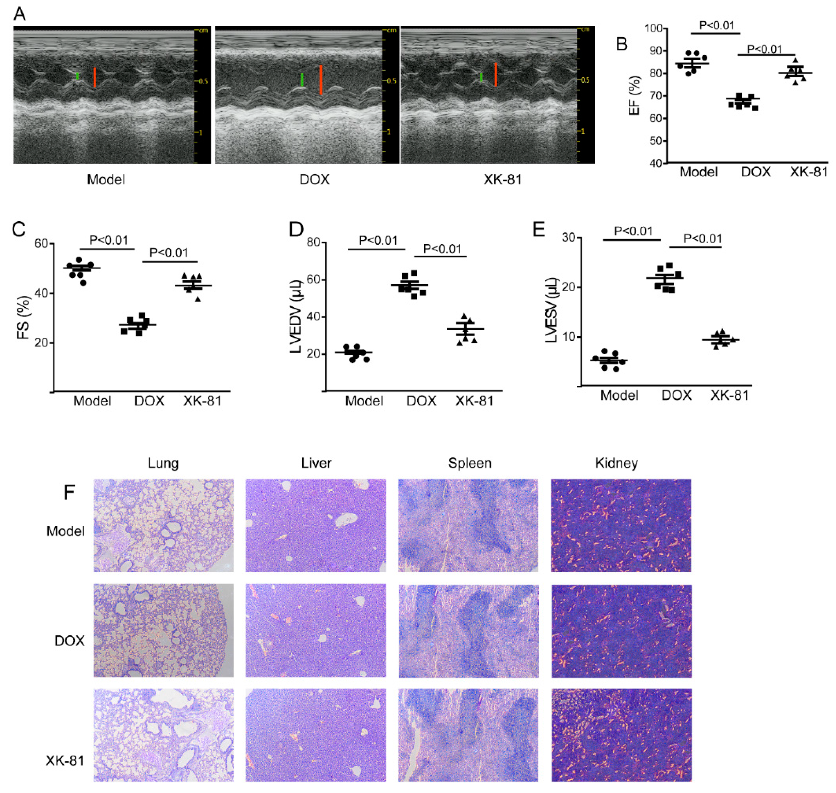 Molecules 28 05349 g003 Molecules 28 05349 g003