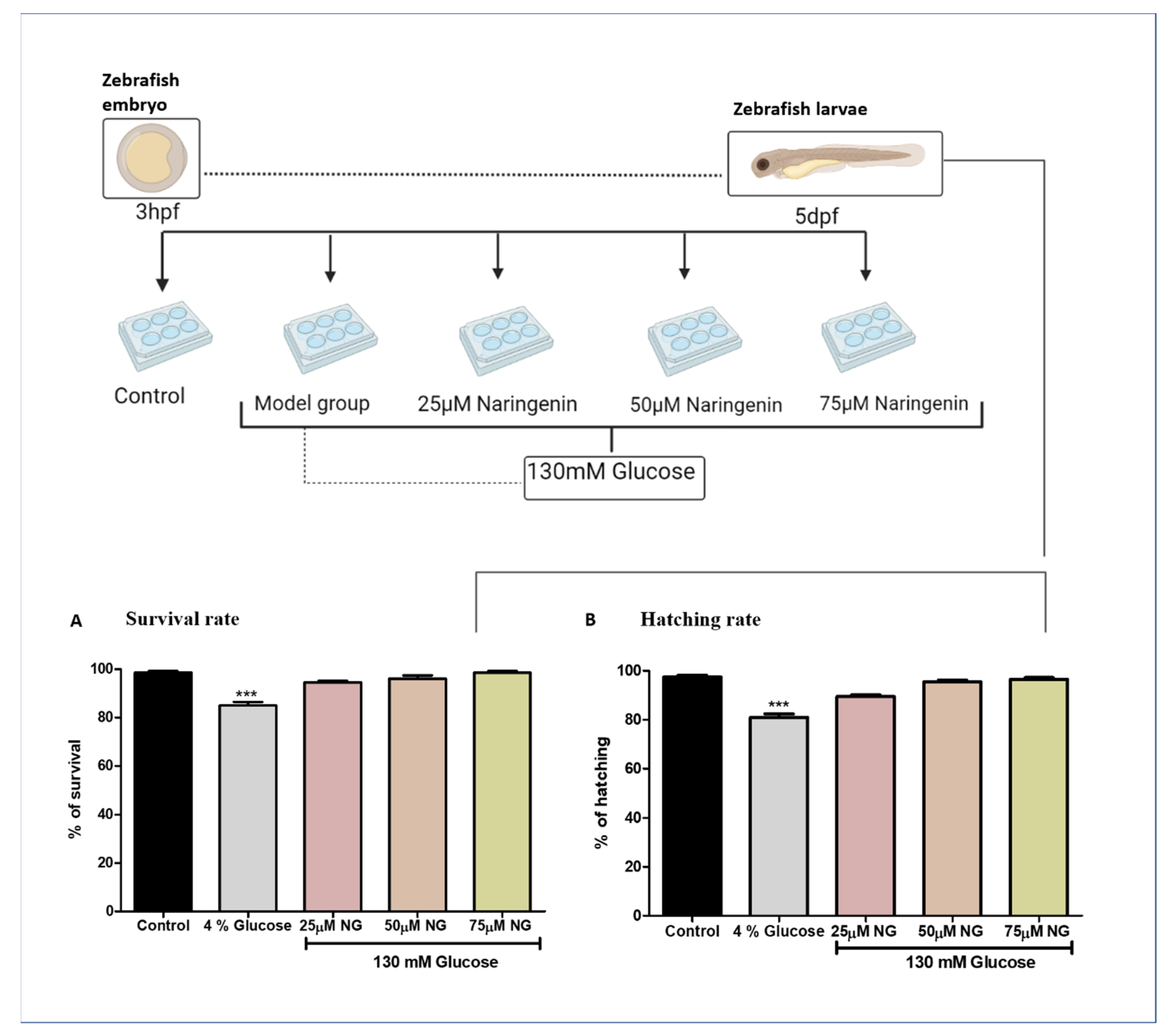 Molecules 28 05350 g001 Molecules 28 05350 g001