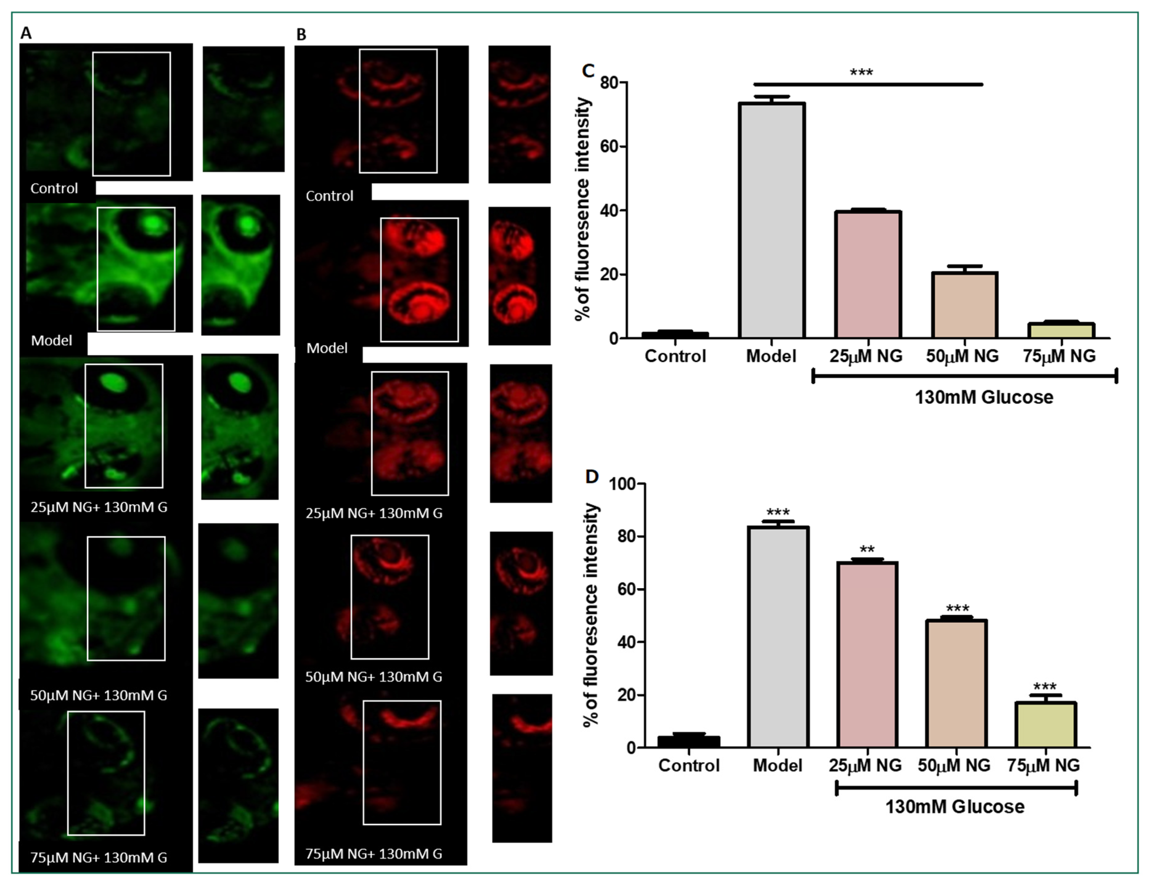 Molecules 28 05350 g003 Molecules 28 05350 g003