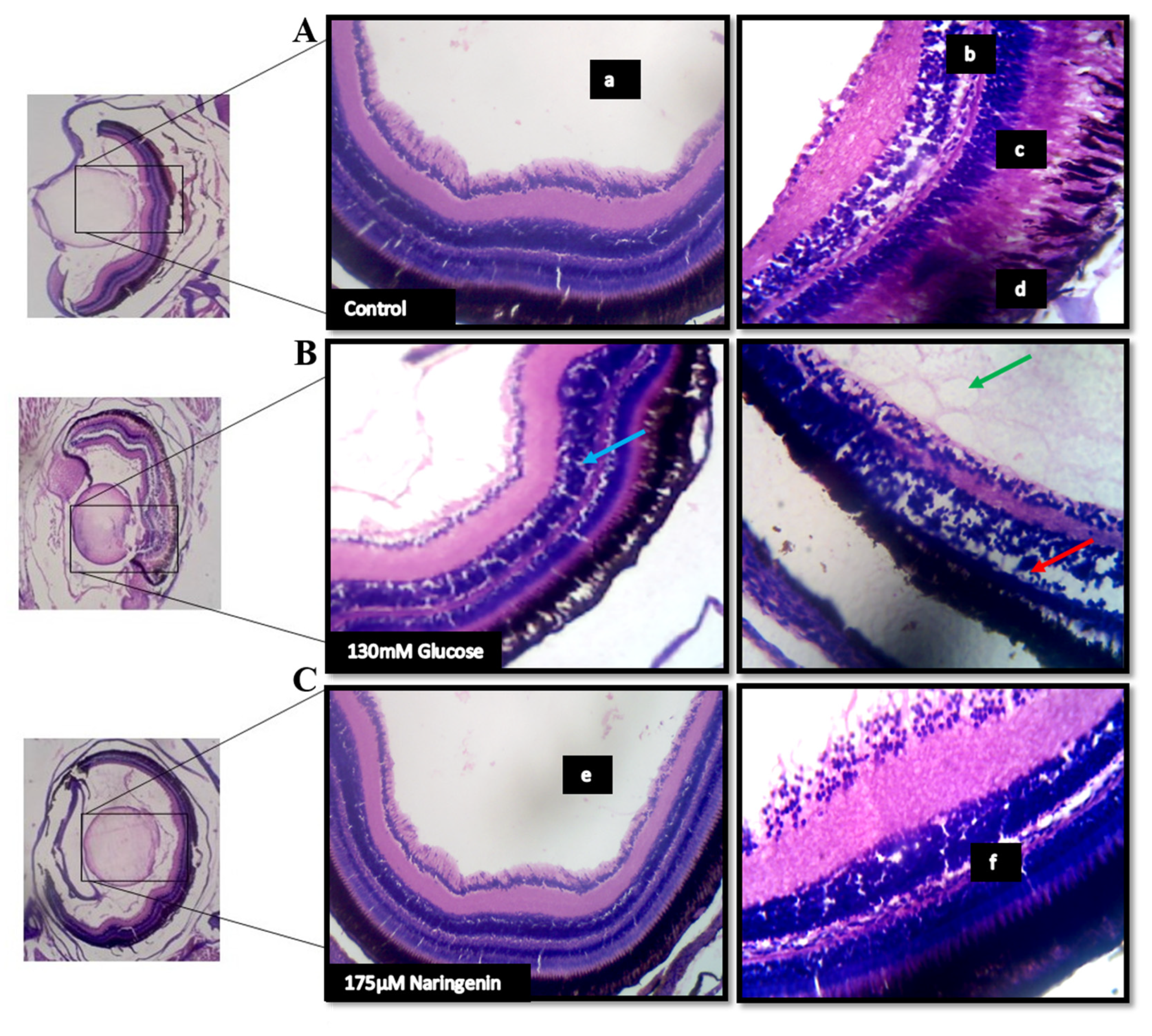 Molecules 28 05350 g007 Molecules 28 05350 g007