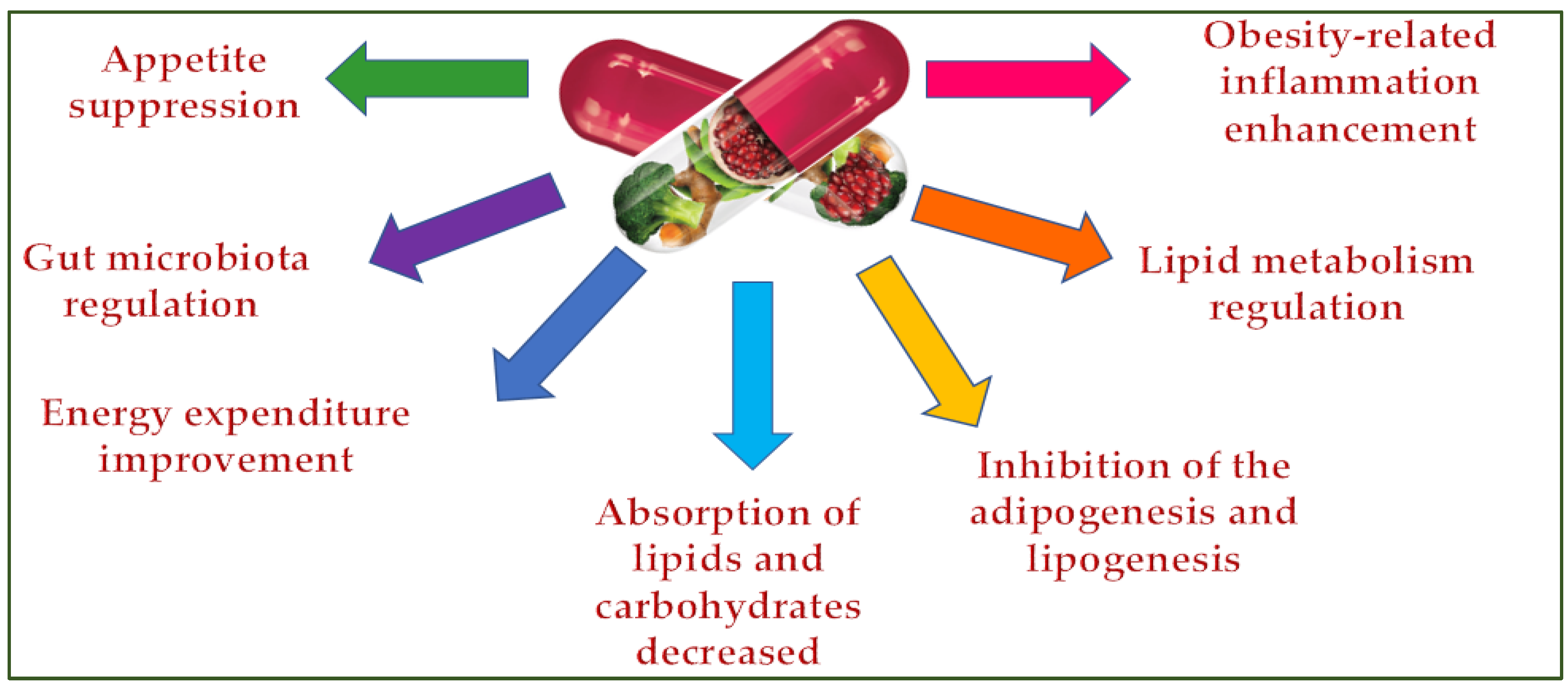 Molecules 28 05357 g003