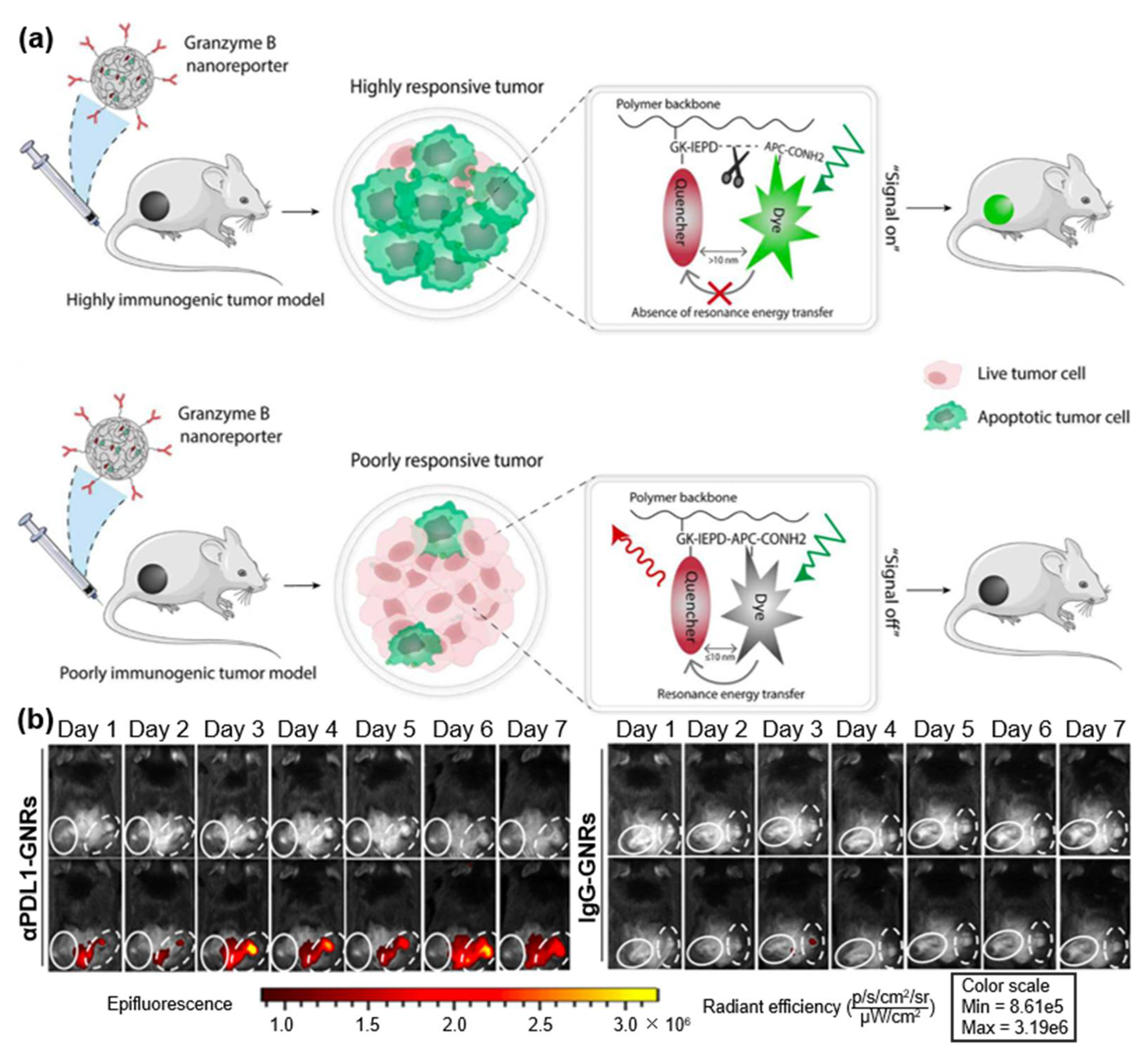Molecules 28 05360 g001