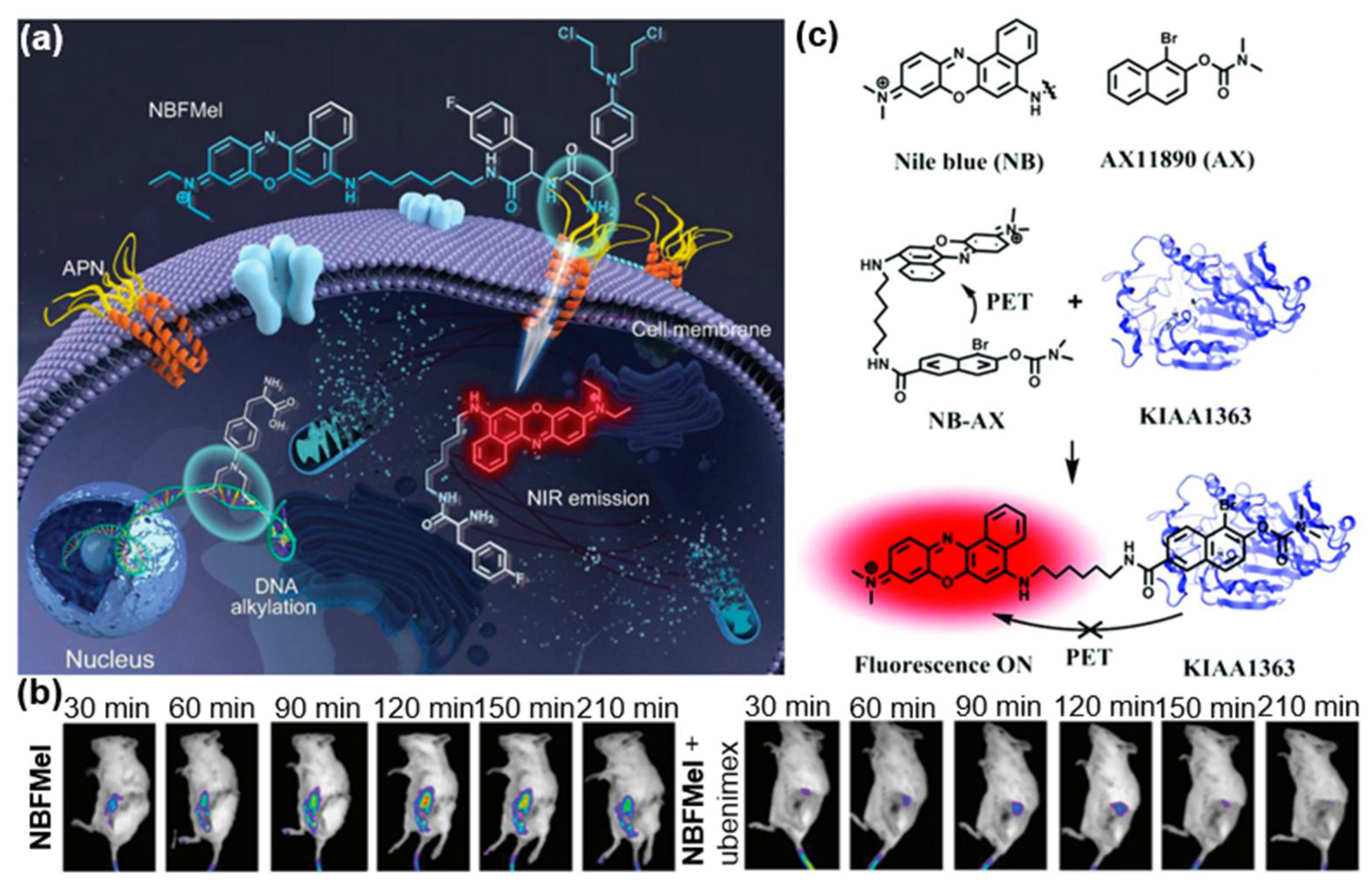 Molecules 28 05360 g002