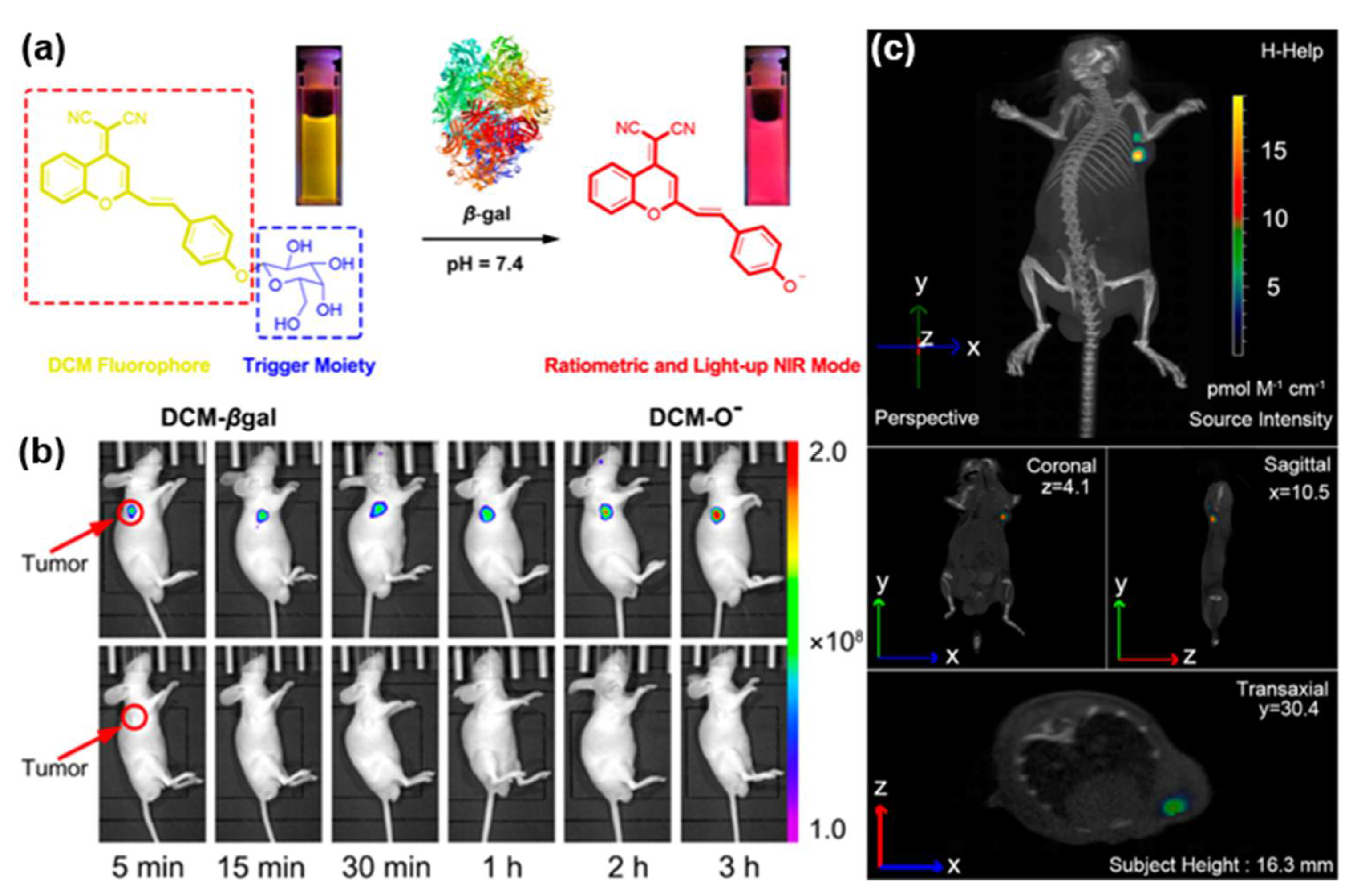 Molecules 28 05360 g003