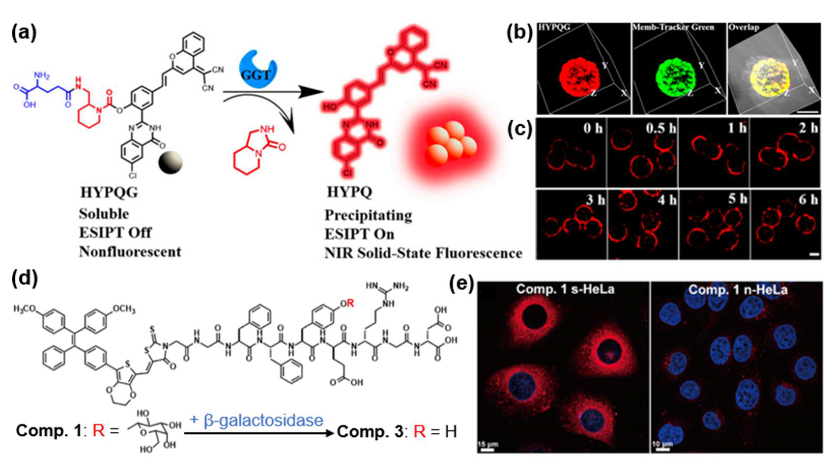 Molecules 28 05360 g008