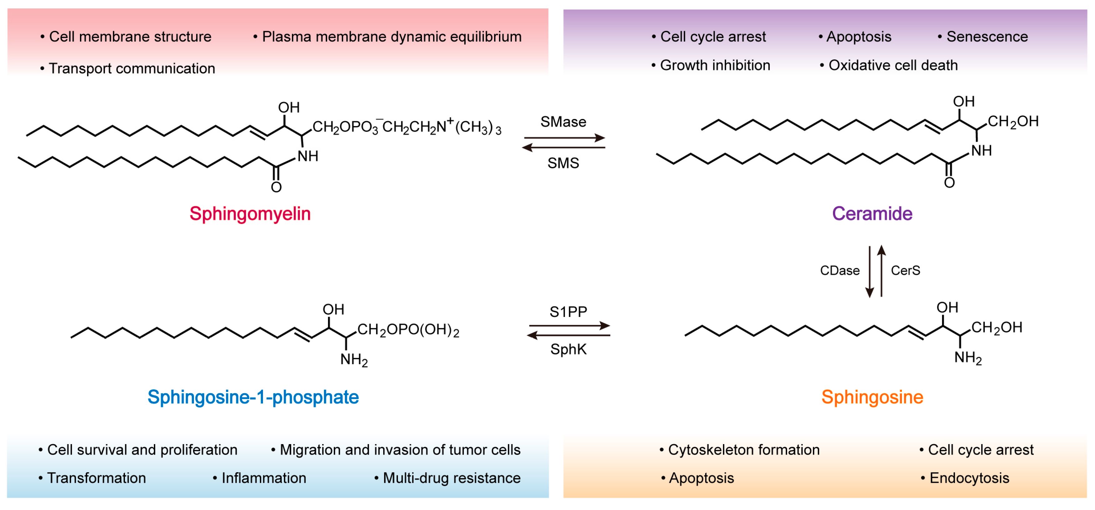 Molecules 28 05366 g001 Molecules 28 05366 g001