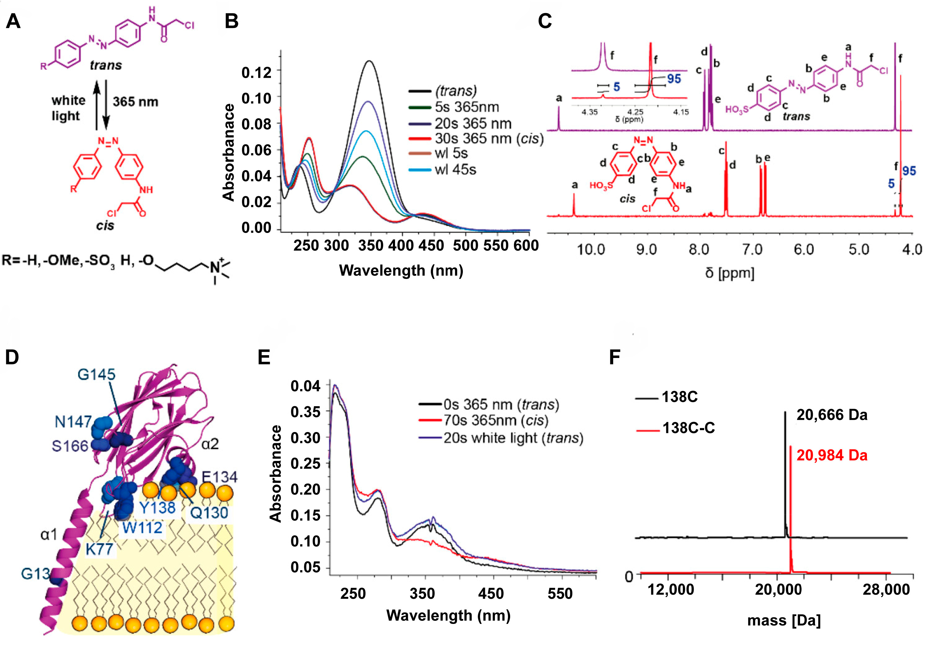 Engineered Lipidic Nanomaterials Inspired by Sphingomyelin