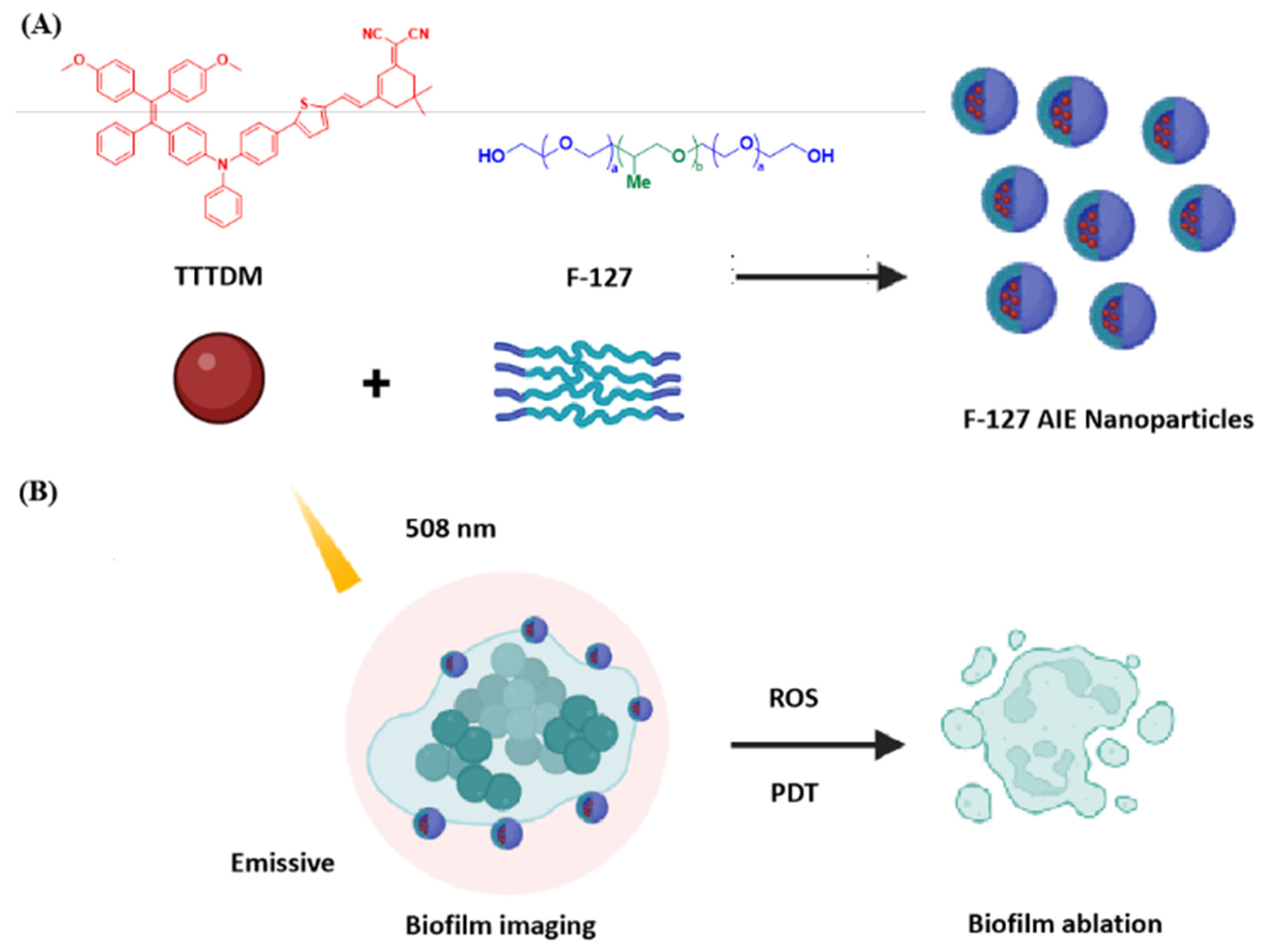 Molecules 28 05368 g001 Molecules 28 05368 g001