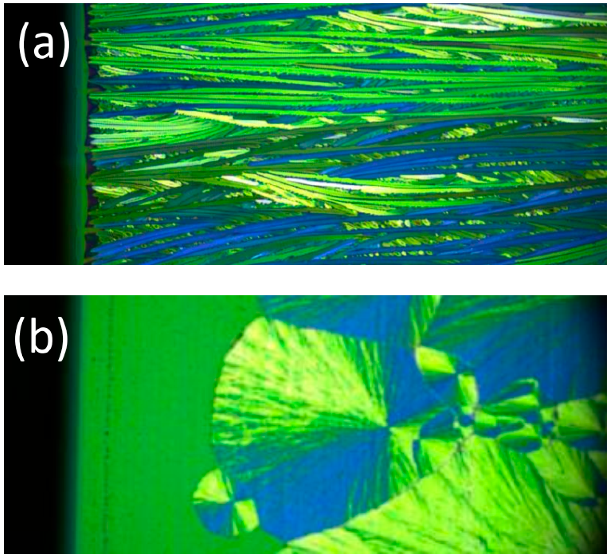 Molecules 28 05371 g003