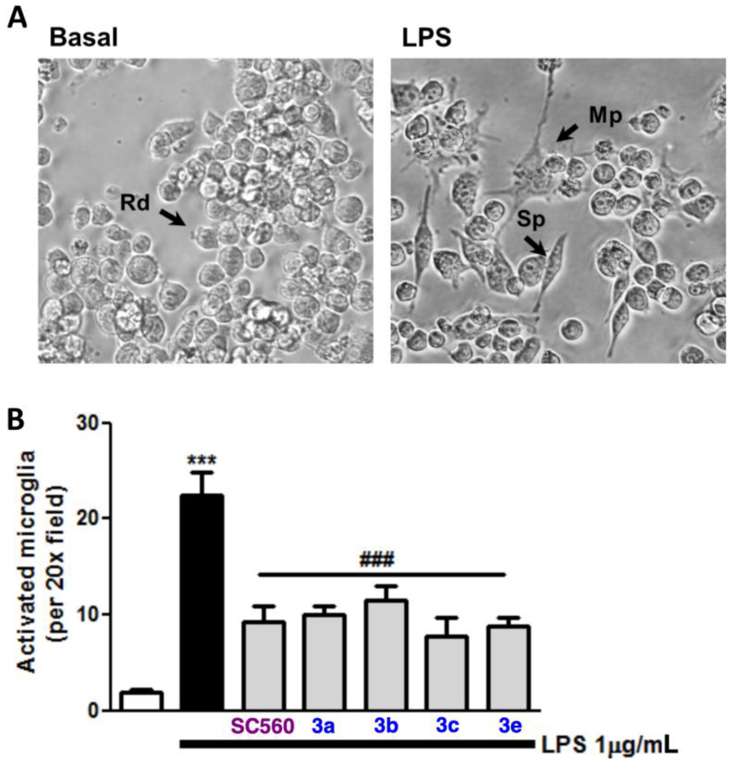Molecules 28 05374 g003