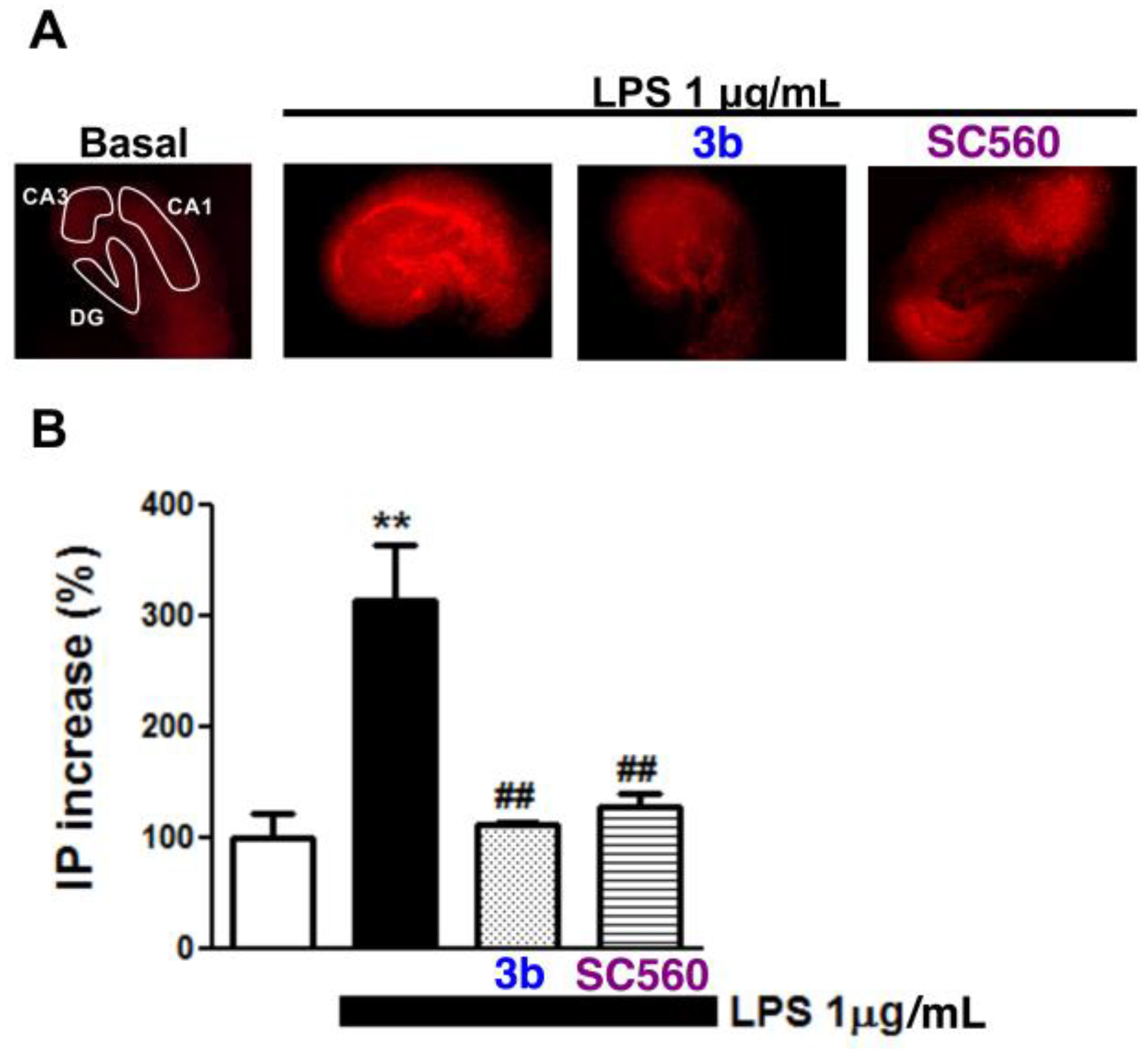 Molecules 28 05374 g005