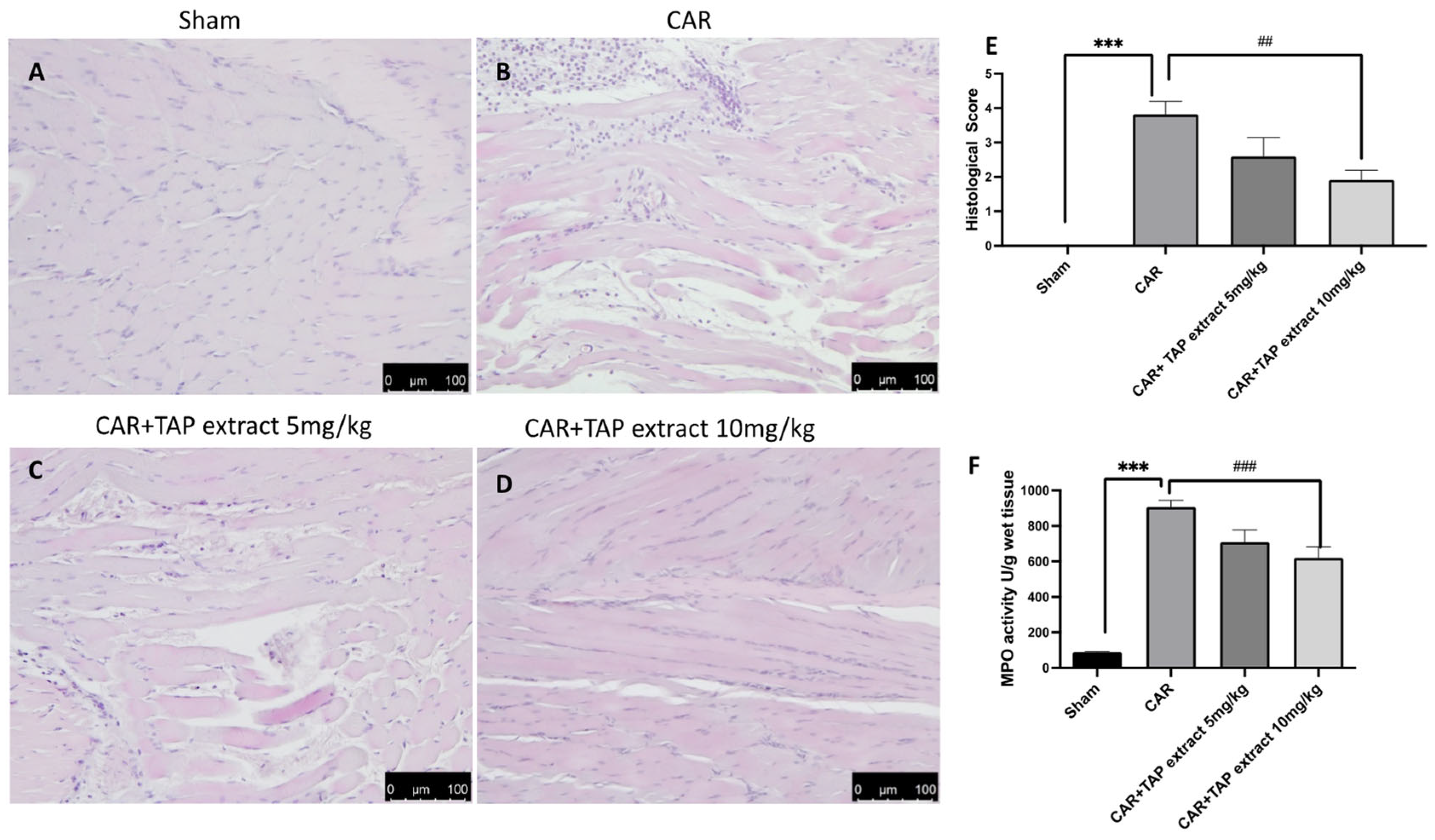 Molecules 28 05376 g002 Molecules 28 05376 g002