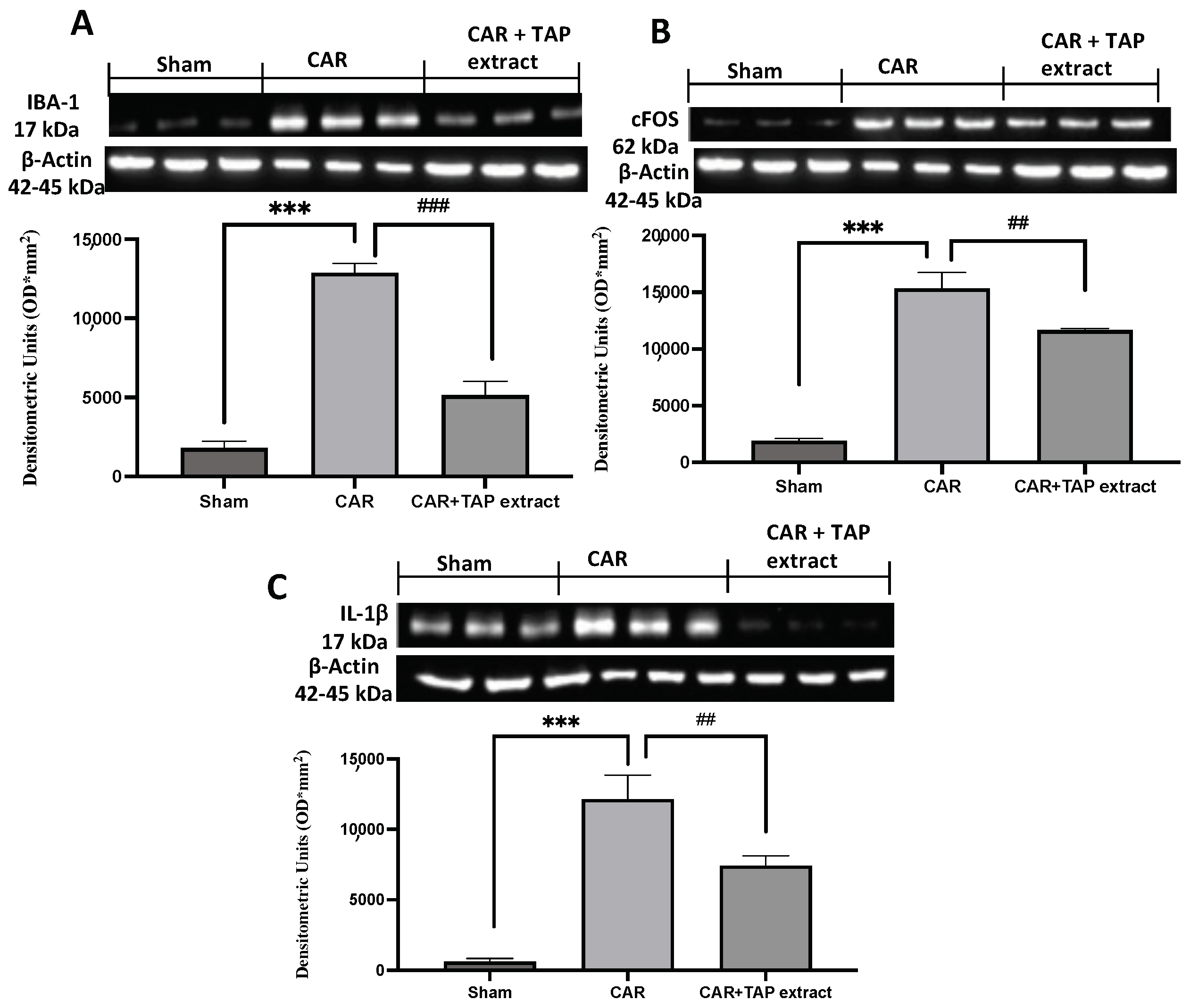 Molecules 28 05376 g006 Molecules 28 05376 g006