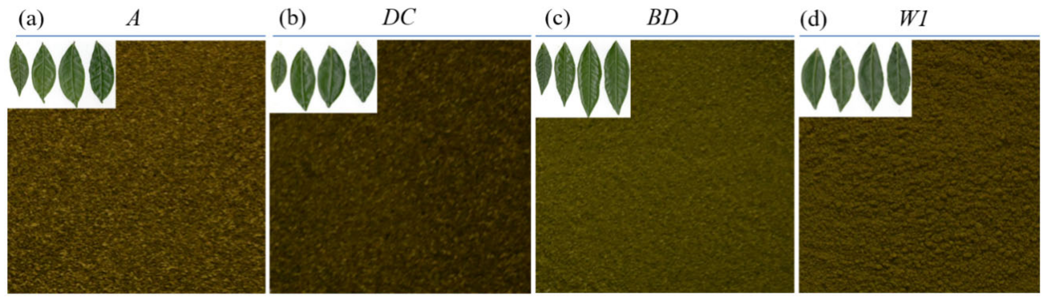 Molecules 28 05379 g006 Molecules 28 05379 g006