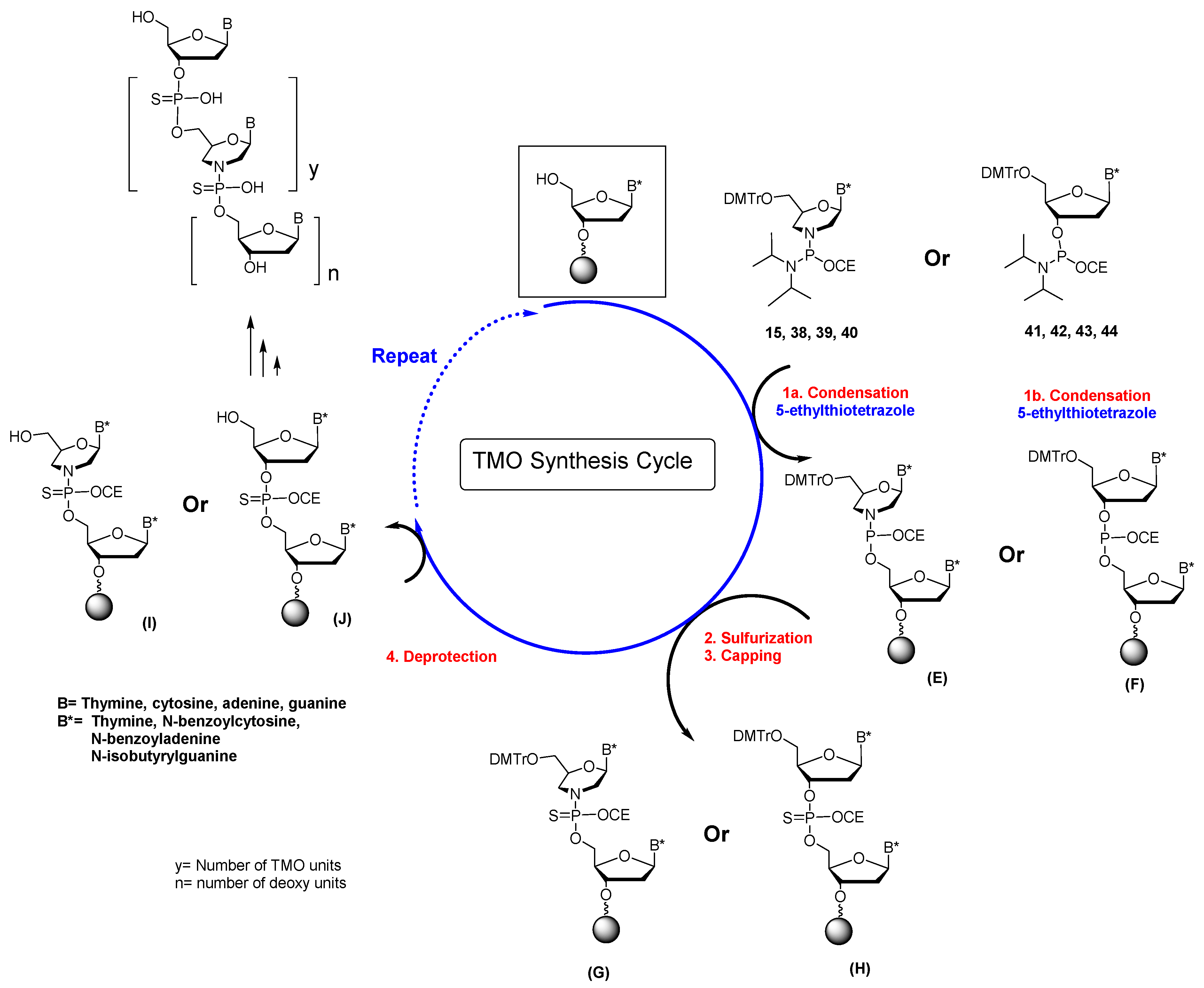 Molecules 28 05380 sch006